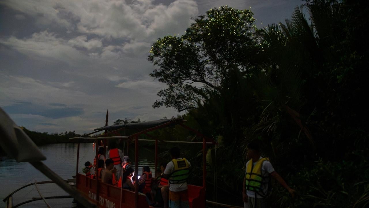 Loboc River Evening Firefly Cruise