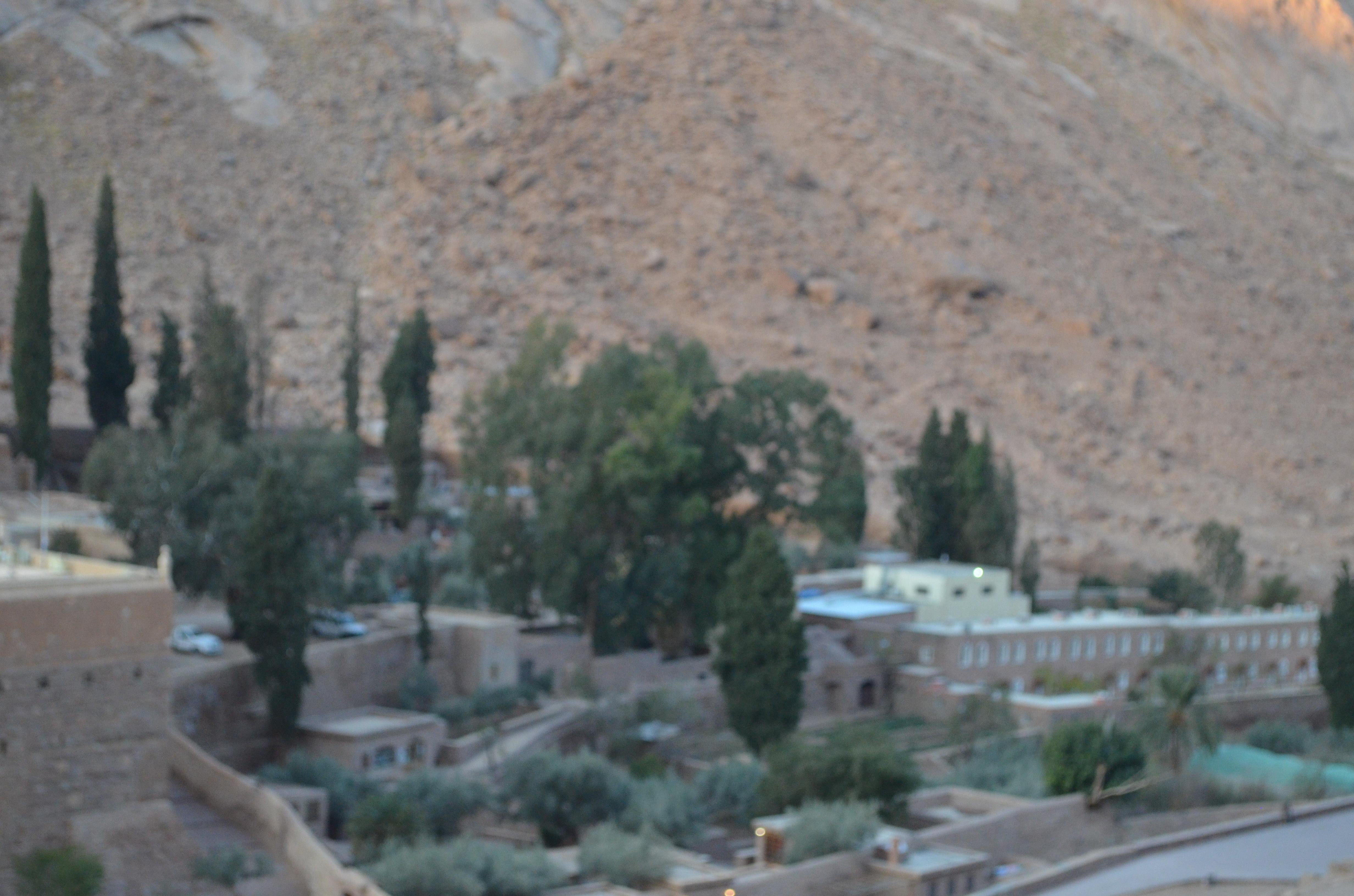Sharm El Sheikh: Private Day Tour to Saint Catherine's Monastery
