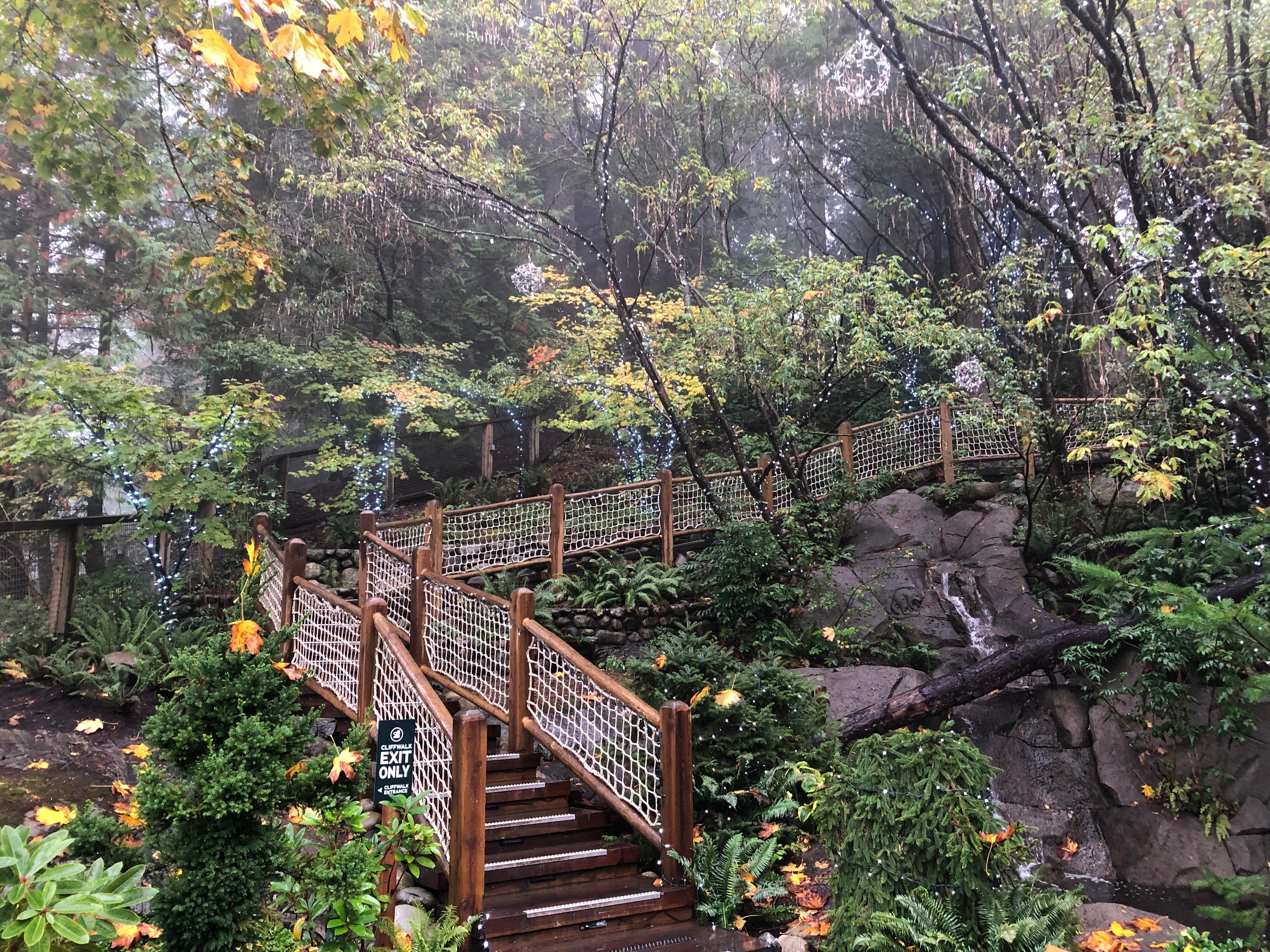 5-in-1 Vancouver Highlights: Grouse Mountain & Capilano Bridge Private Car Tour