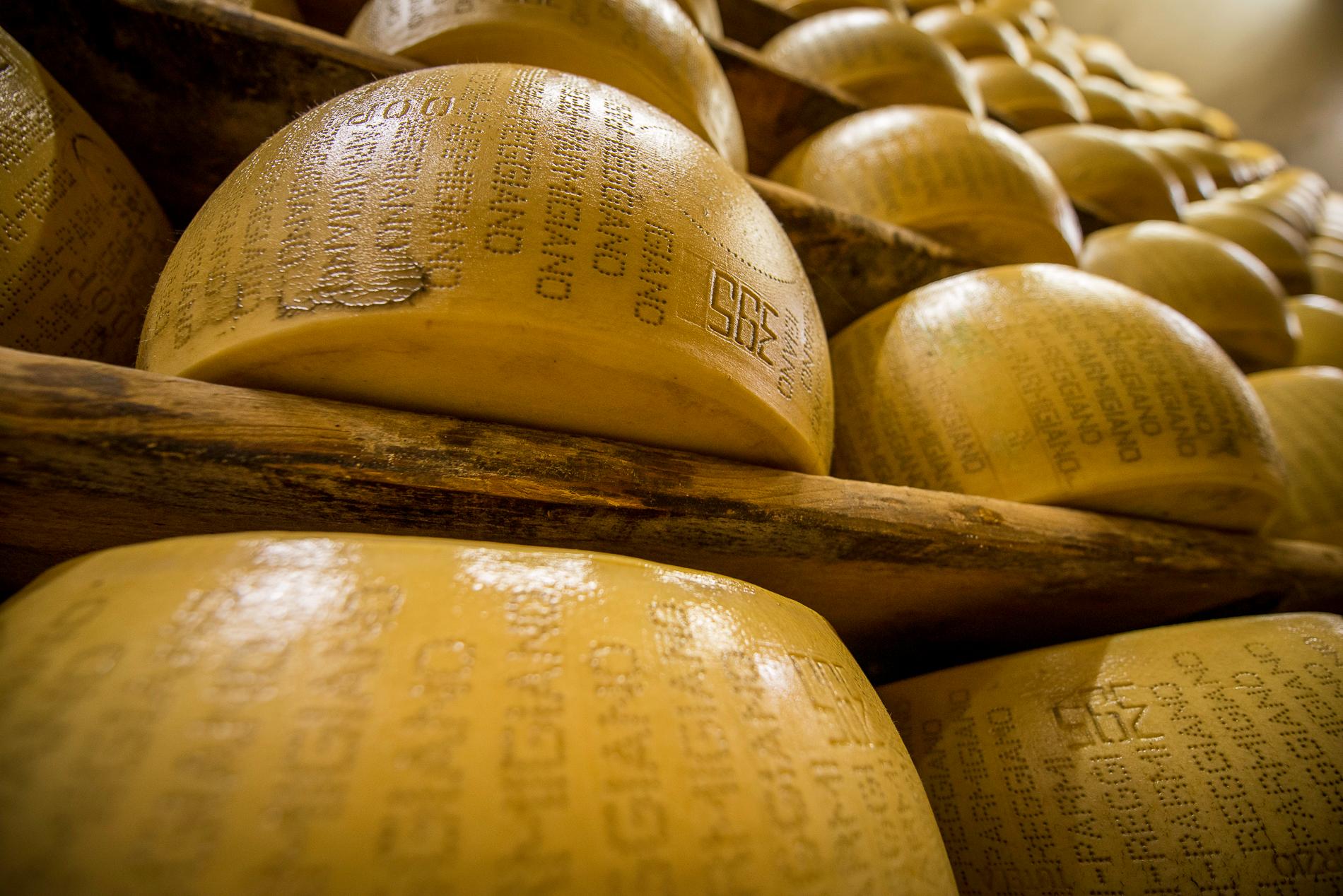 cheese tasting in Modena — The Secrets of Parmigiano Reggiano & Balsamic Vinegar Tour