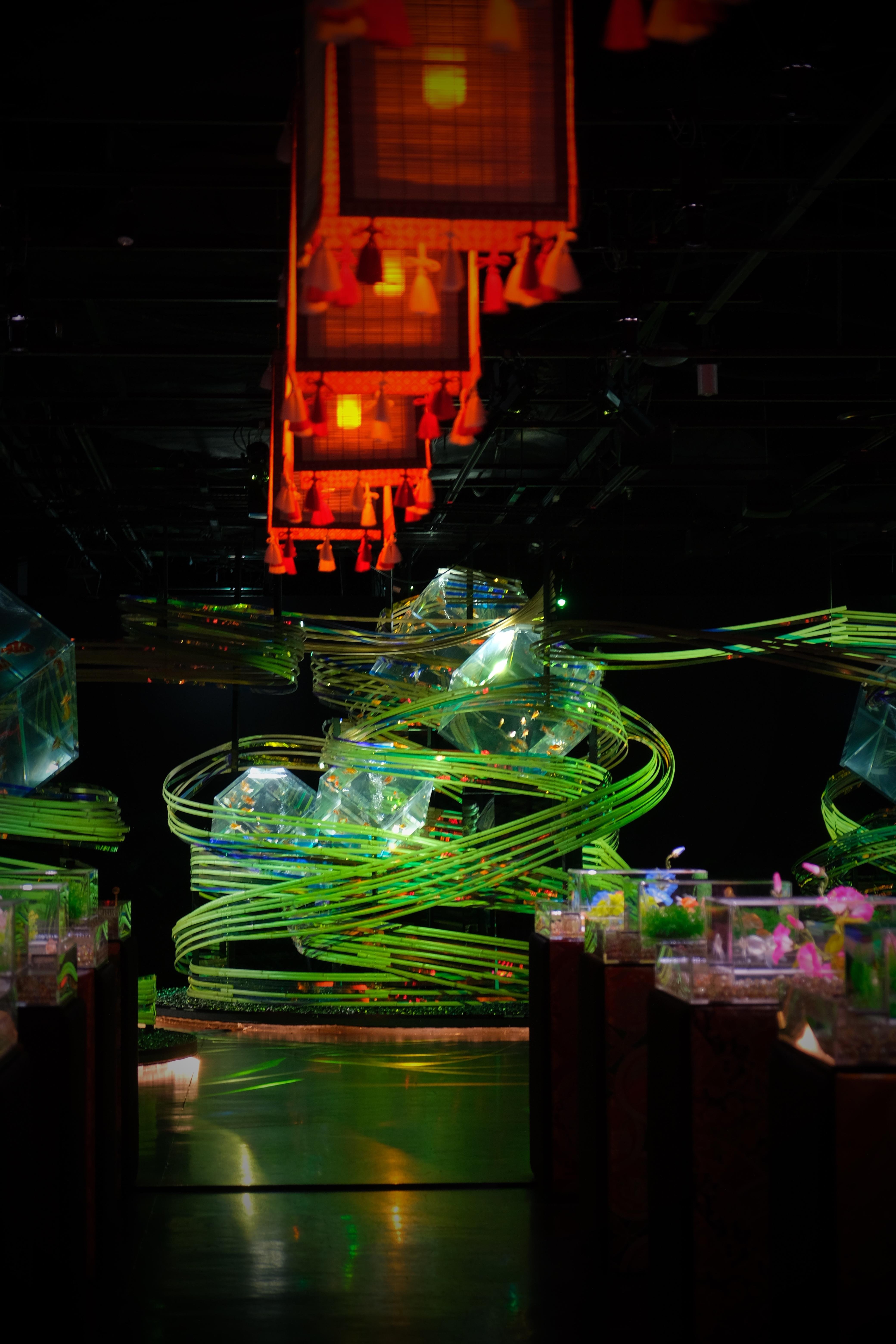 Tokyo Art Aquarium Museum GINZA Admission Ticket