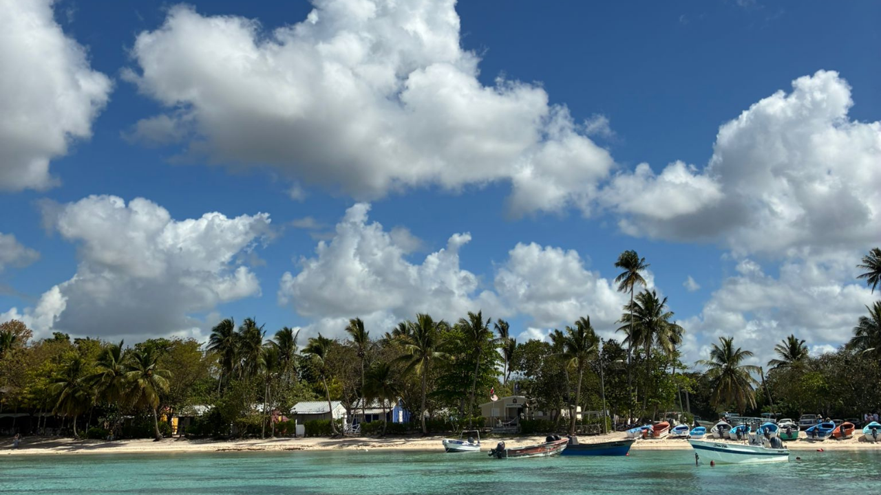 Saona Island Catamaran Day Trip from Punta Cana with Lunch
