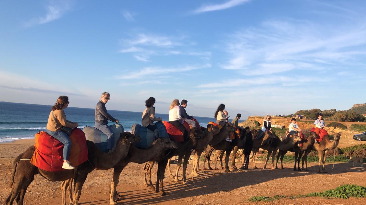 Tangier Day Trip from Tarifa with Local Guide