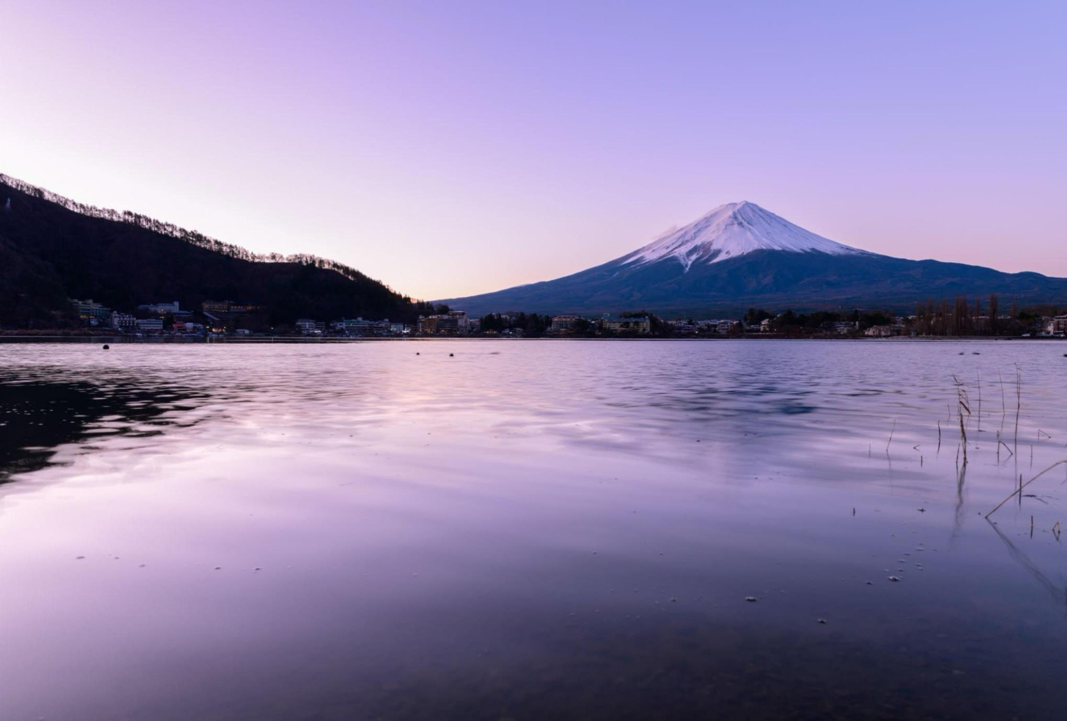 Mount Fuji Private Day Tour from Tokyo with English-Speaking Driver