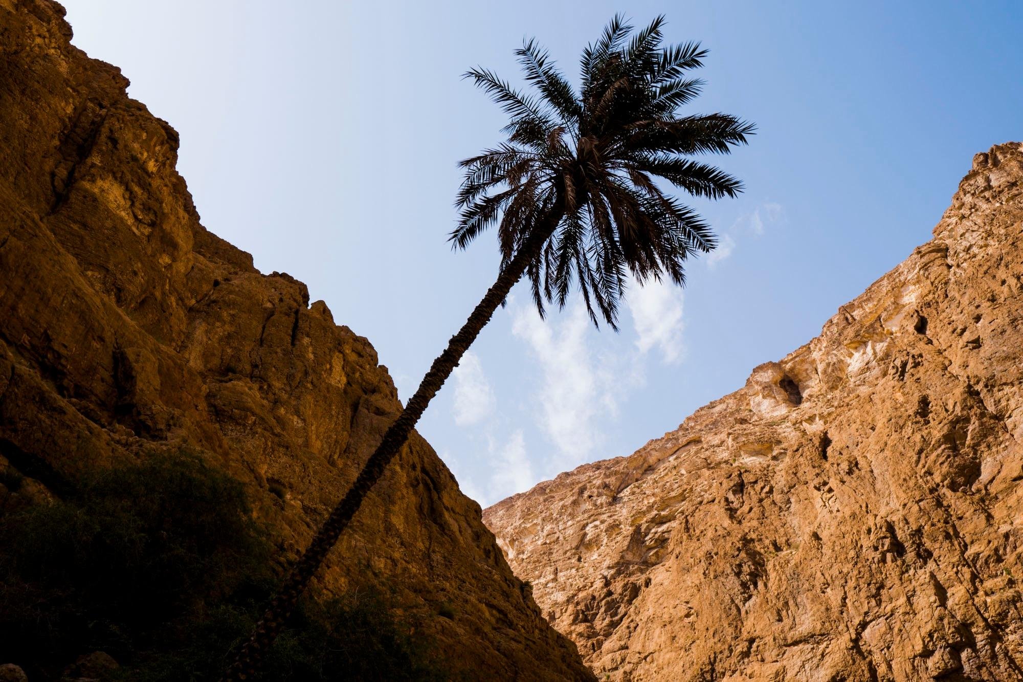Wadi Shab Adventure: Canyon Hike, Cave Swim & Waterfall
