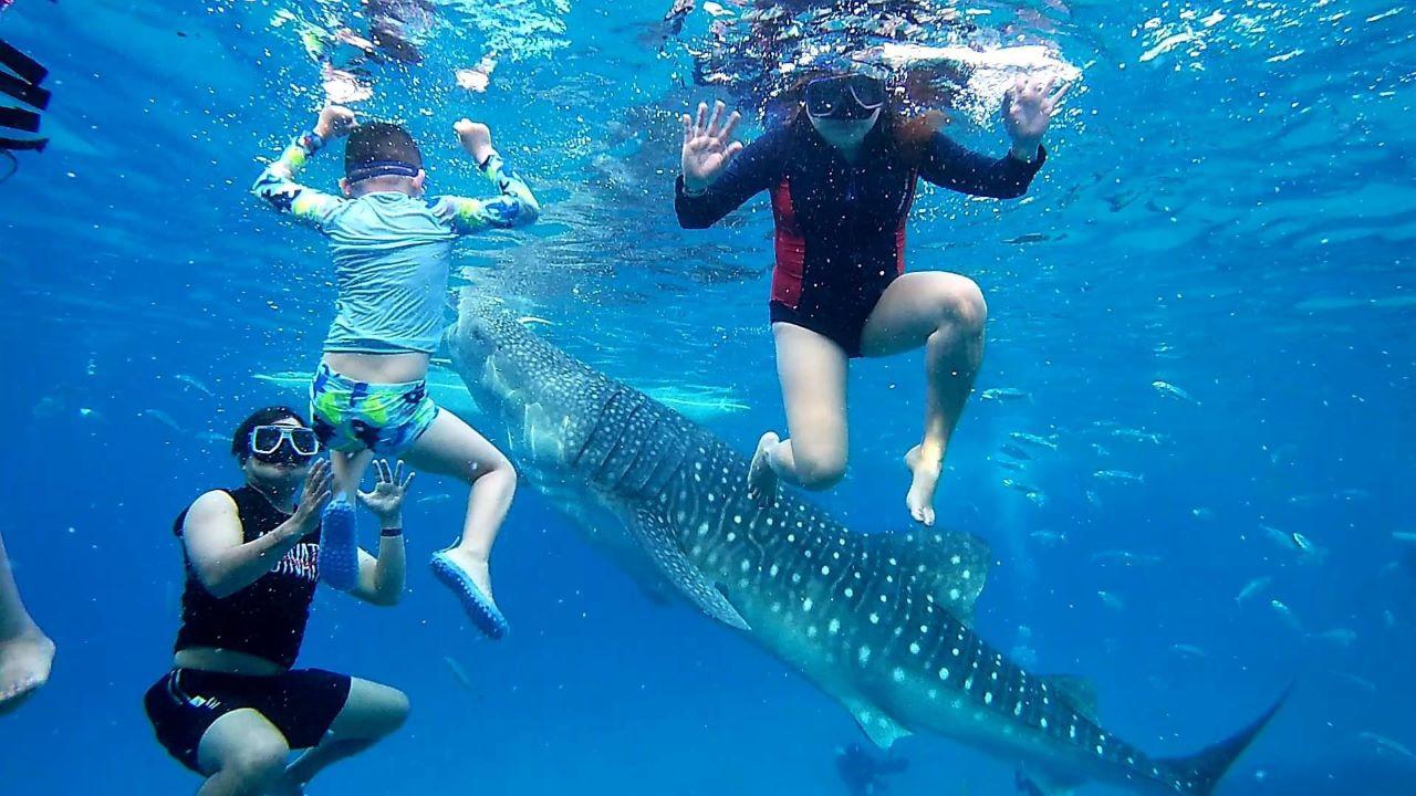 Cebu Private Car Charter with Driver – Flexi Routes