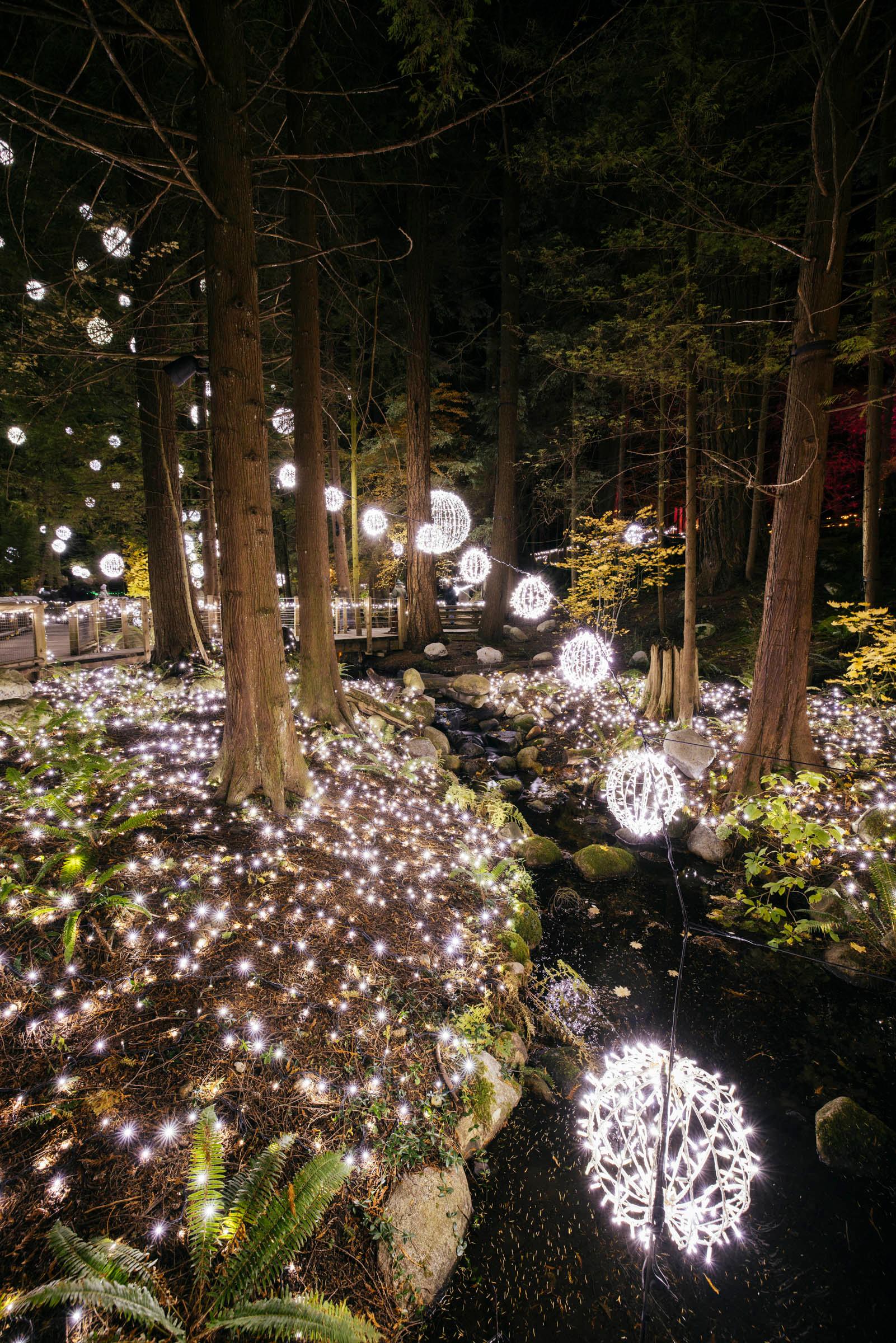 Capilano Suspension Bridge Park Entry