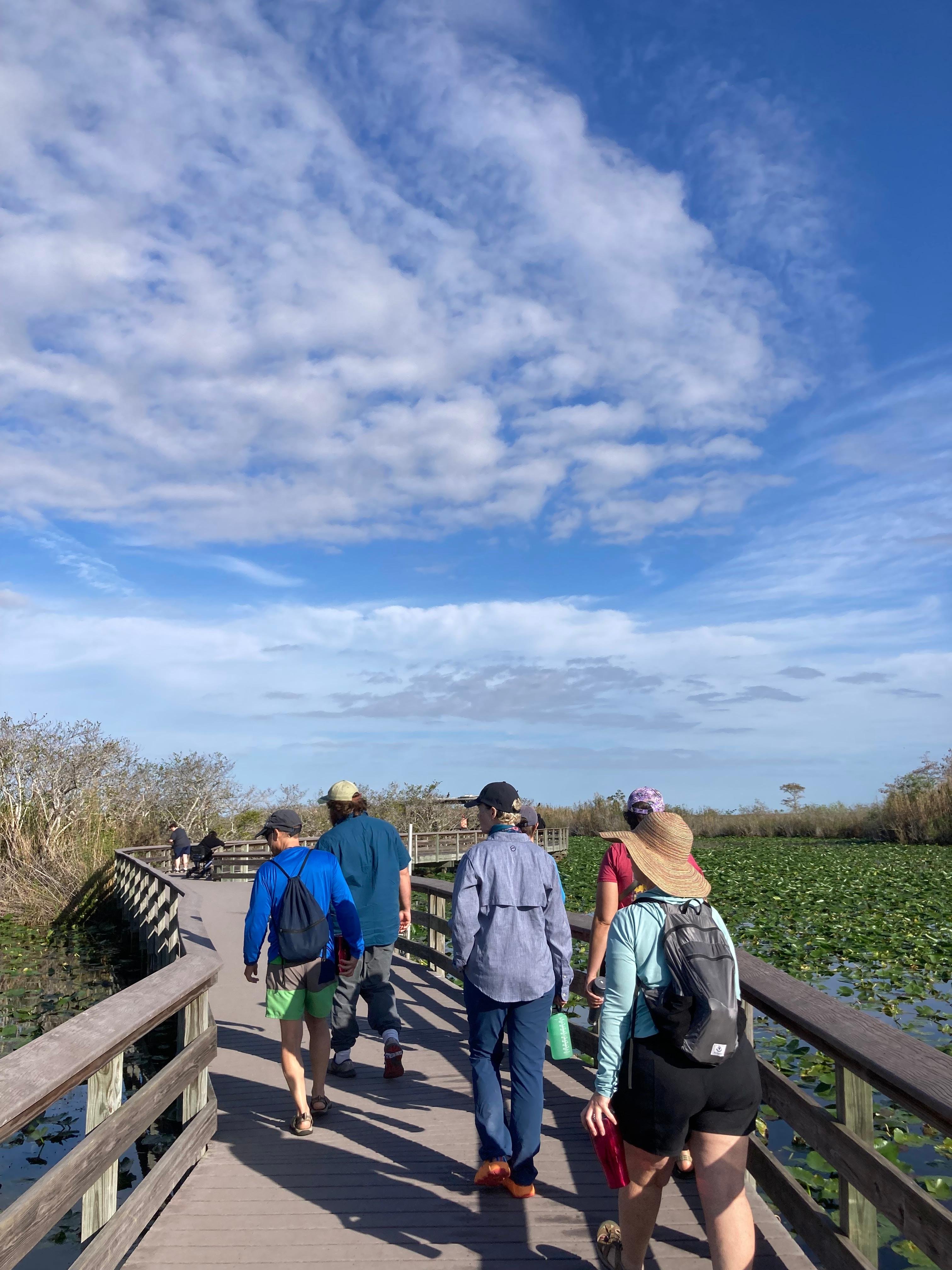Full-Day Everglades Kayaking & Hiking Expedition from Miami