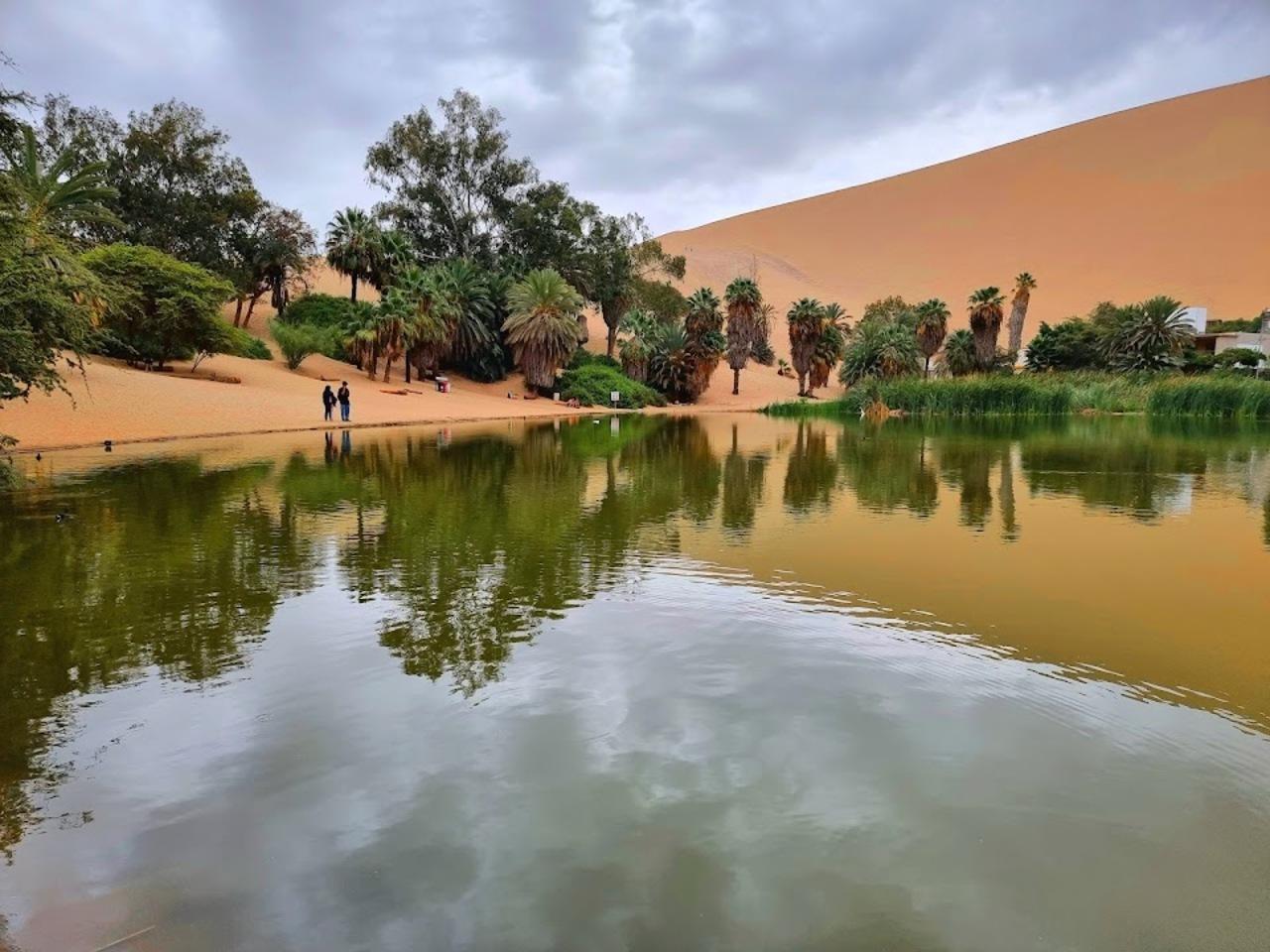 Excursión de un día a Paracas y Huacachina: vida silvestre, aventura en el desierto y cata de vinos