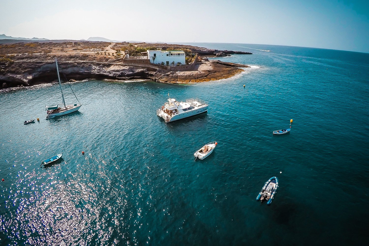 Tenerife Whale & Dolphin Catamaran Cruise with Buffet