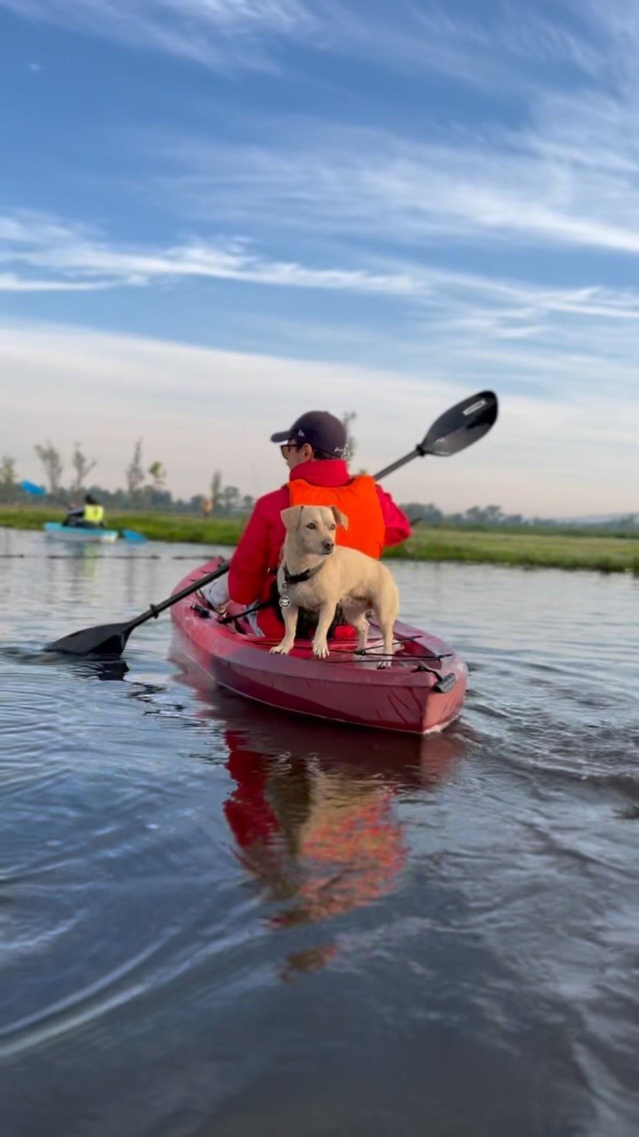 Xochimilco Kayak & Axolotl Conservation Tour