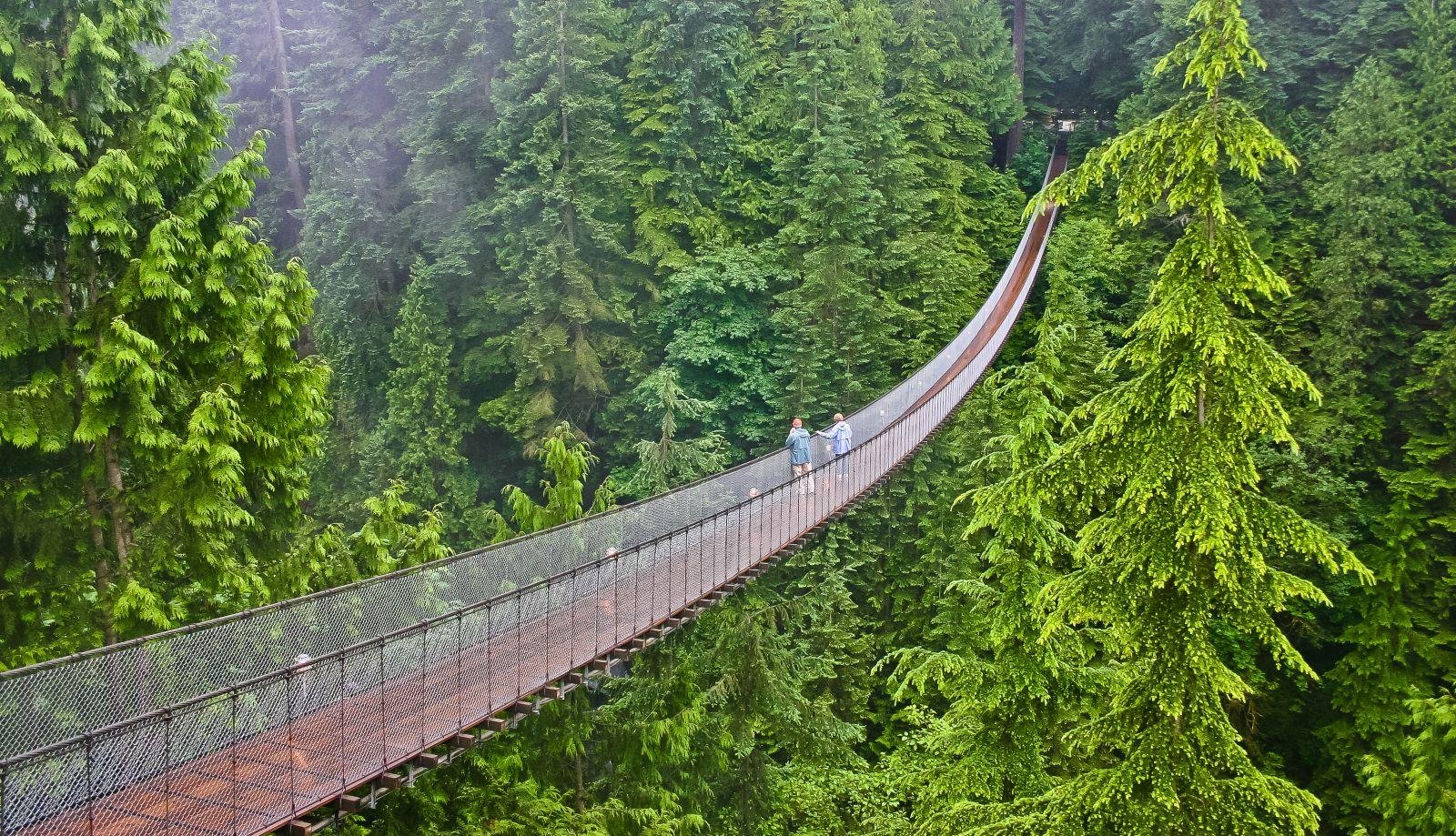 Vancouver Private Sightseeing Tour: Custom City & Nature Highlights