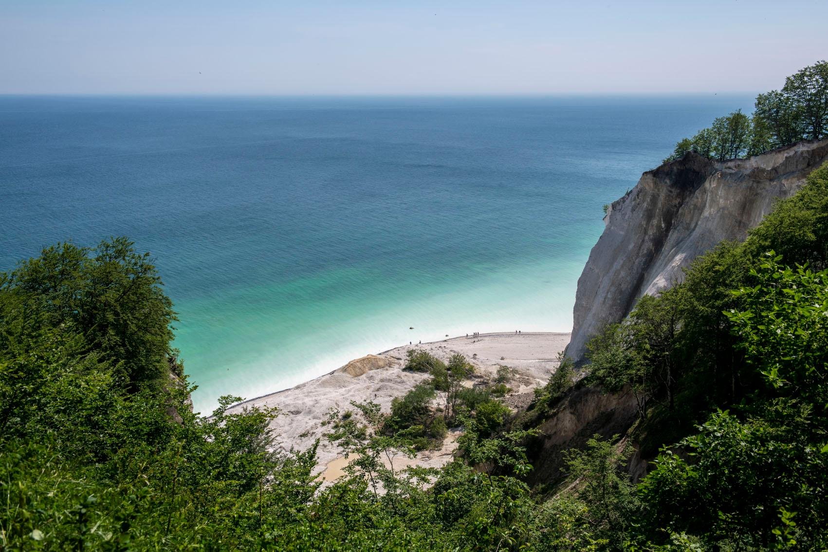 Møns Klint day trip from Copenhagen — image 7