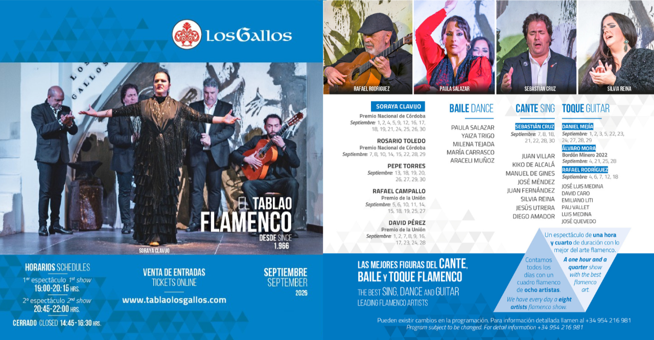 Flamenco Performance at Tablao Los Gallos
