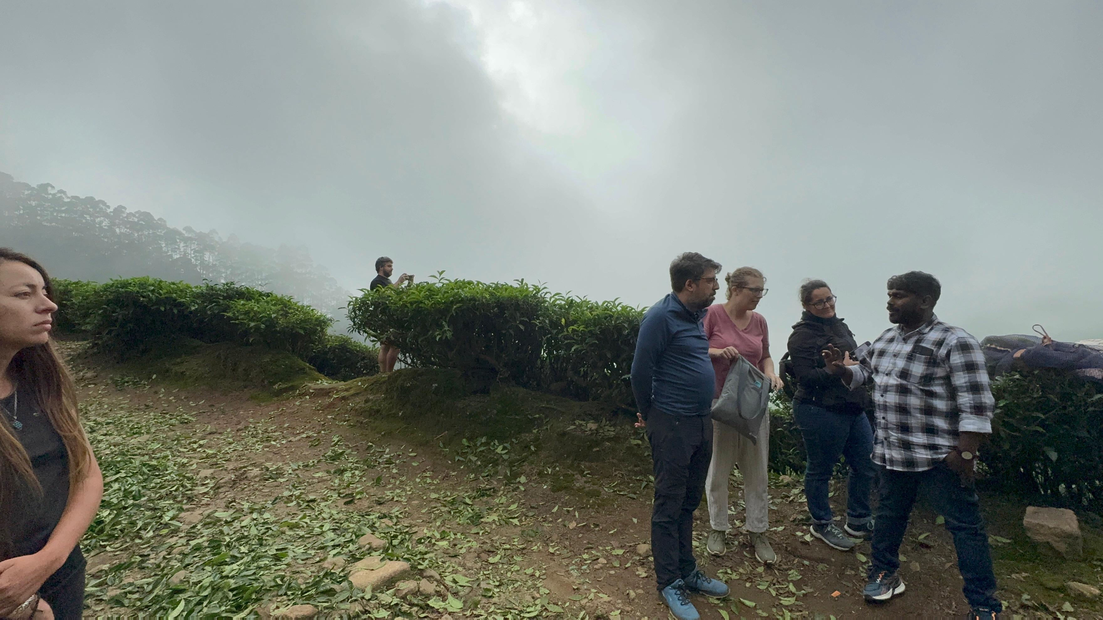 Munnar: Kolukkumalai High-Altitude Tea Estate Jeep Adventure