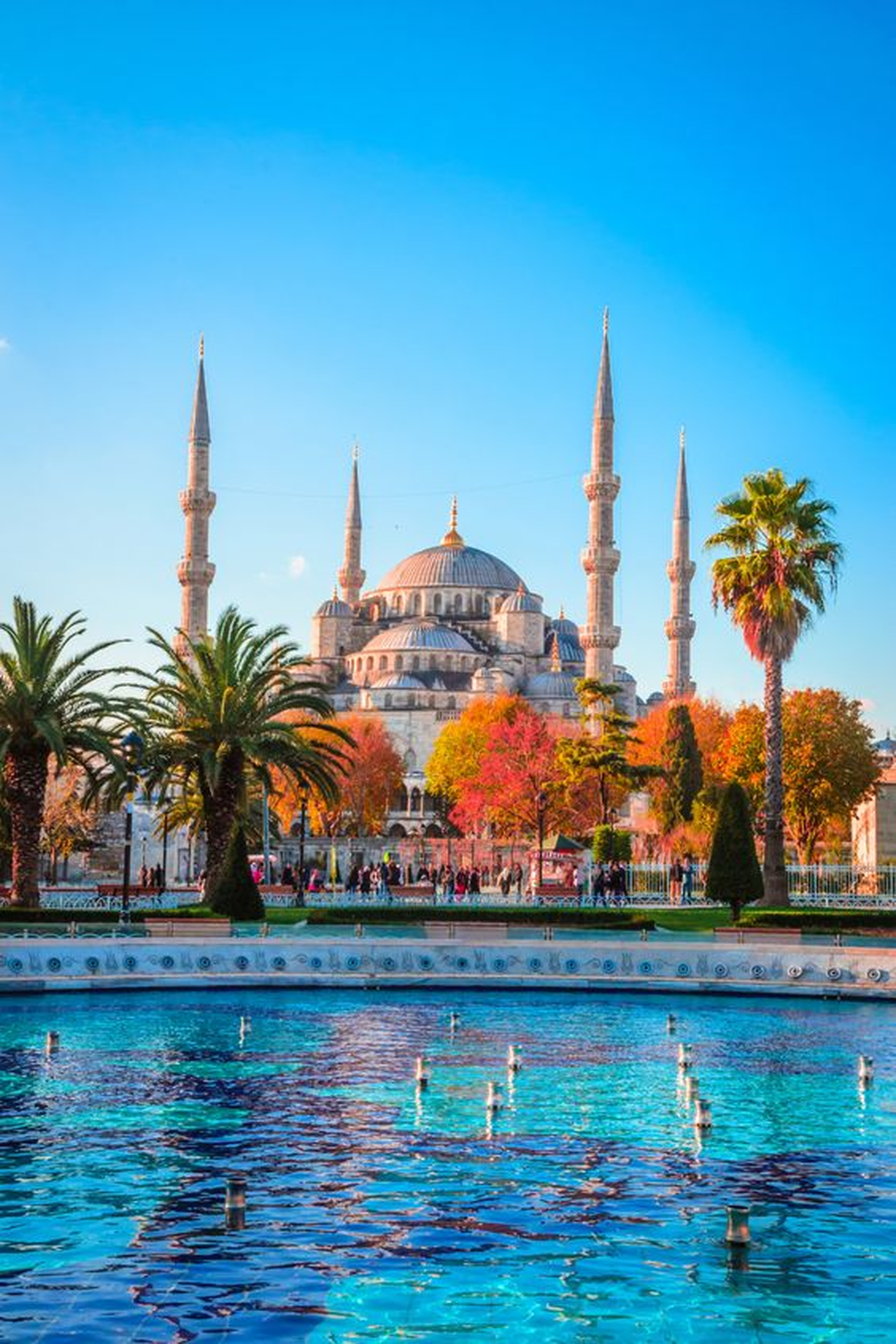VIP Istanbul Layover Express: Private Airport Transit Tour