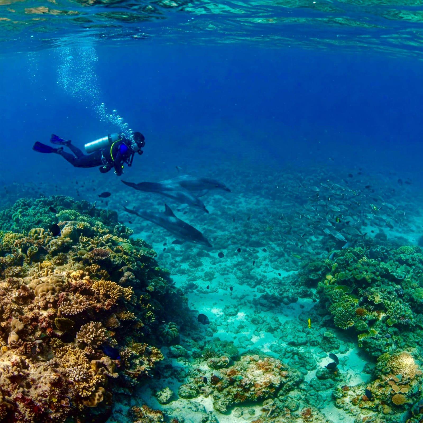 Phuket: Racha & Maiton Islands Scuba Diving for All Levels