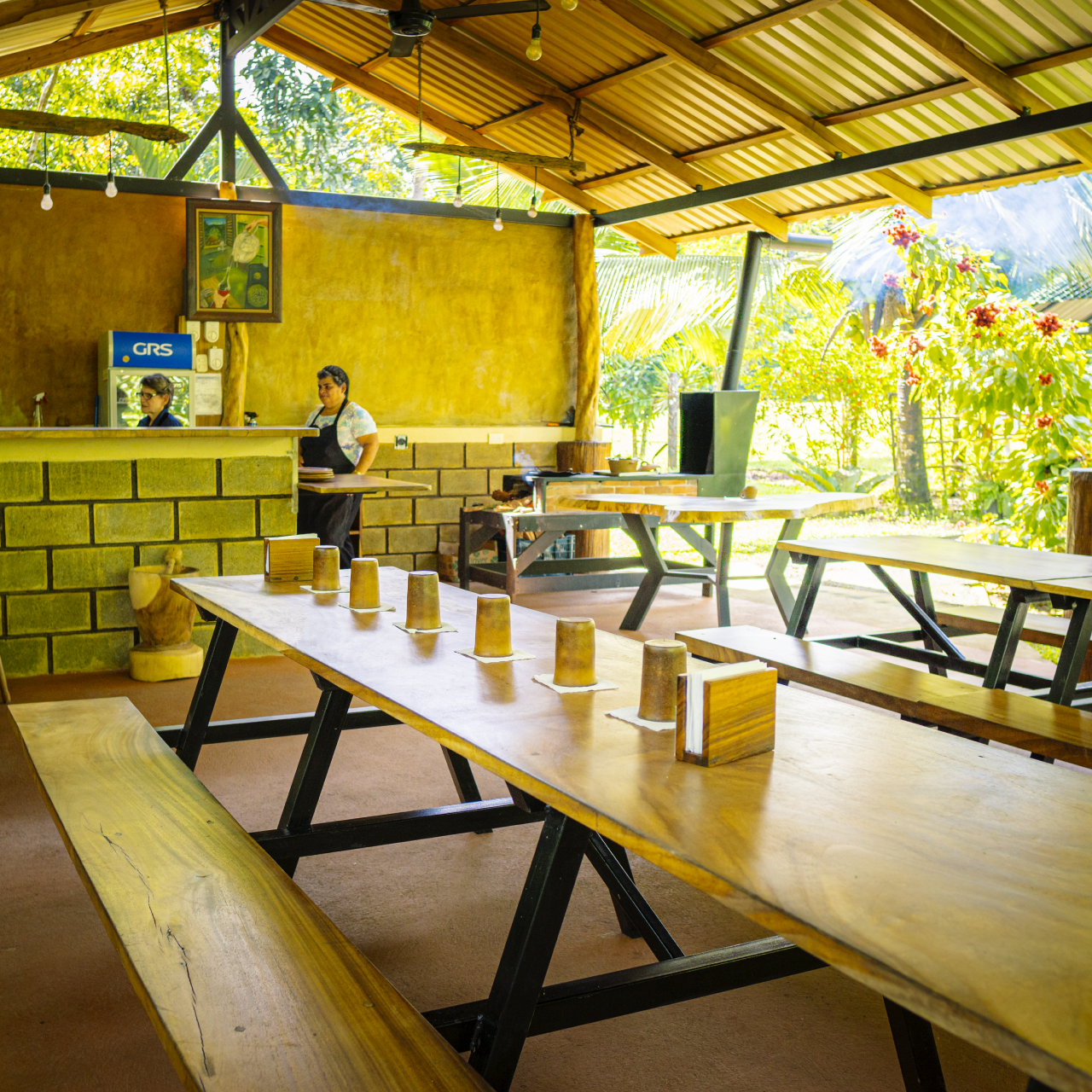 La Fortuna Sloth & Rainforest Experience with Cooking Class