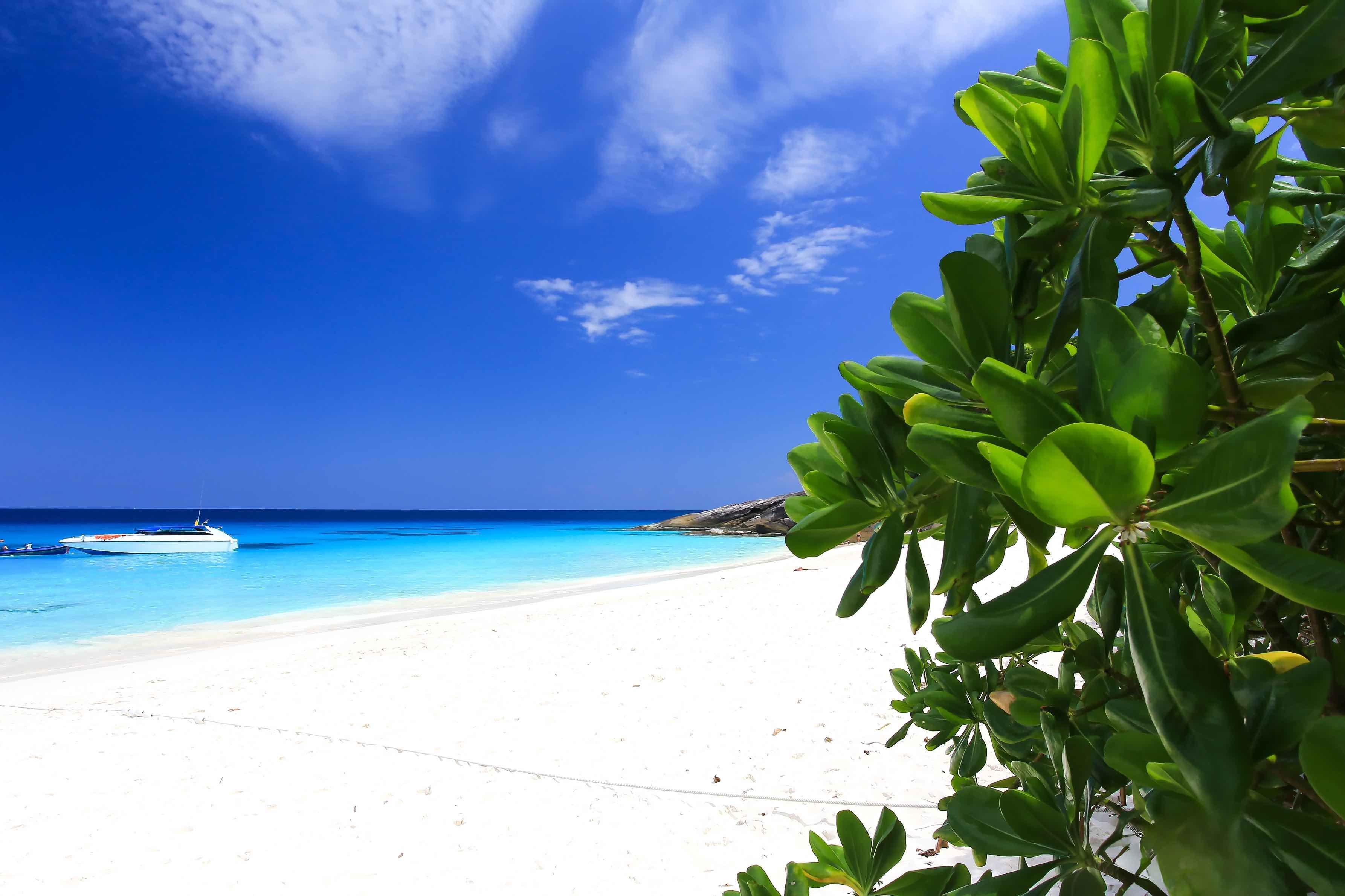 Similan Islands Premium Catamaran Day Trip from Phuket