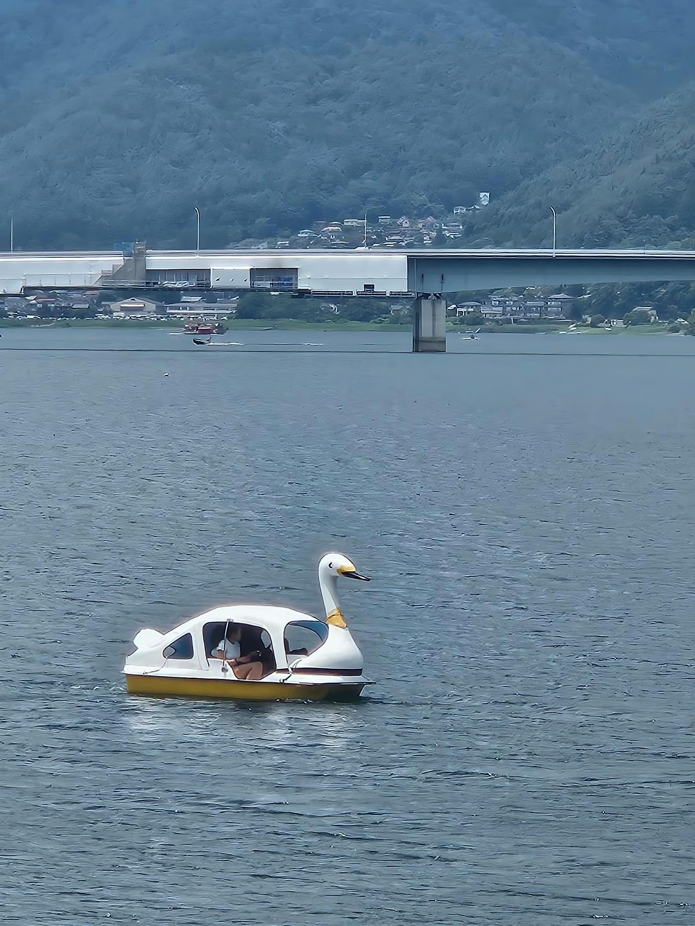 Tokyo to Mt. Fuji & Hakone: Private Full-Day Tour with English Driver
