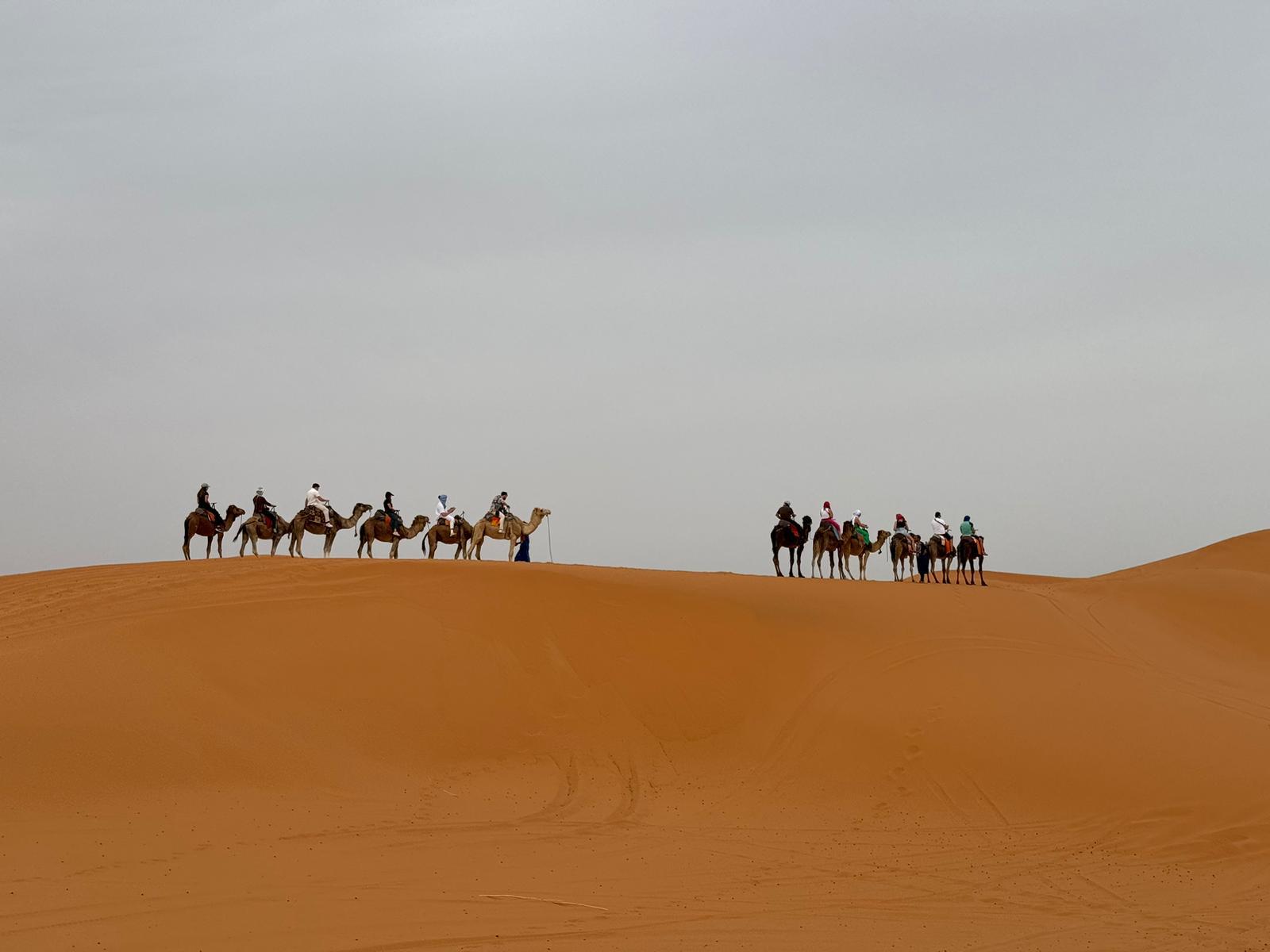 3-Day Sahara Desert Adventure: Marrakech to Fes via Merzouga