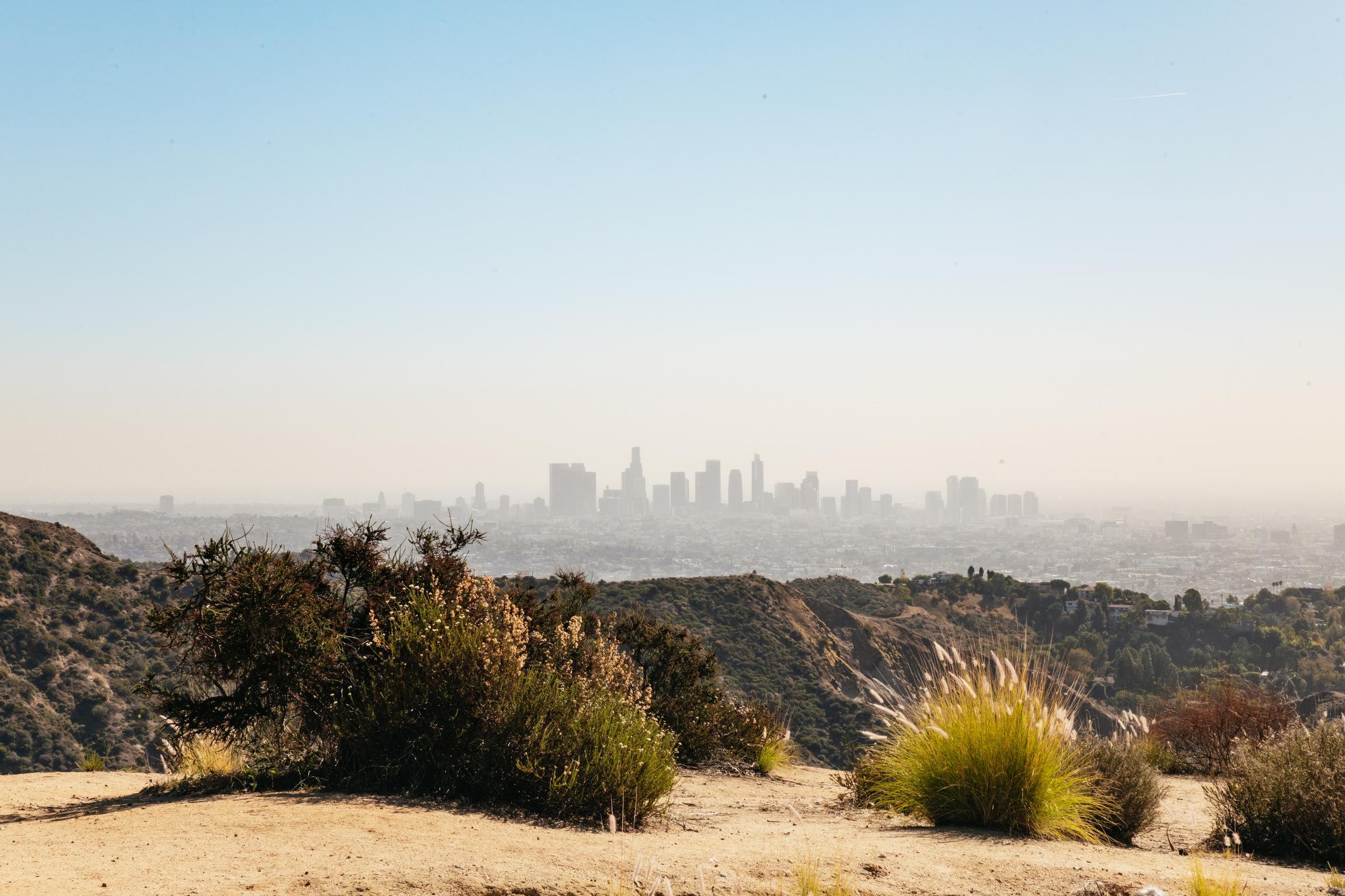 LA: Express Hollywood Sign Guided Walking Tour with Photos - 2026 (Verified Reviews)