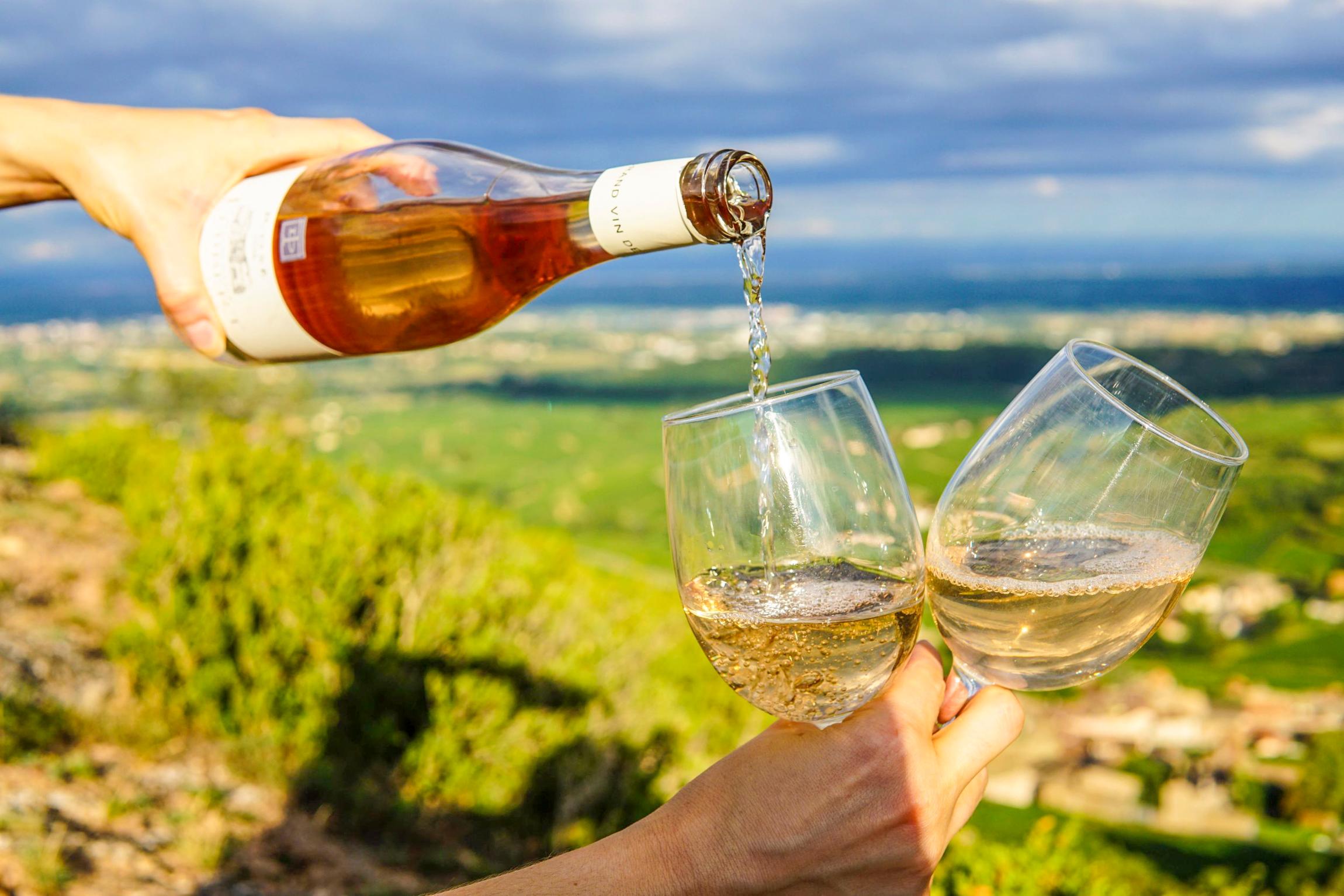 Alcatraz Night Tour, Muir Woods & Wine Country 2-Day Adventure