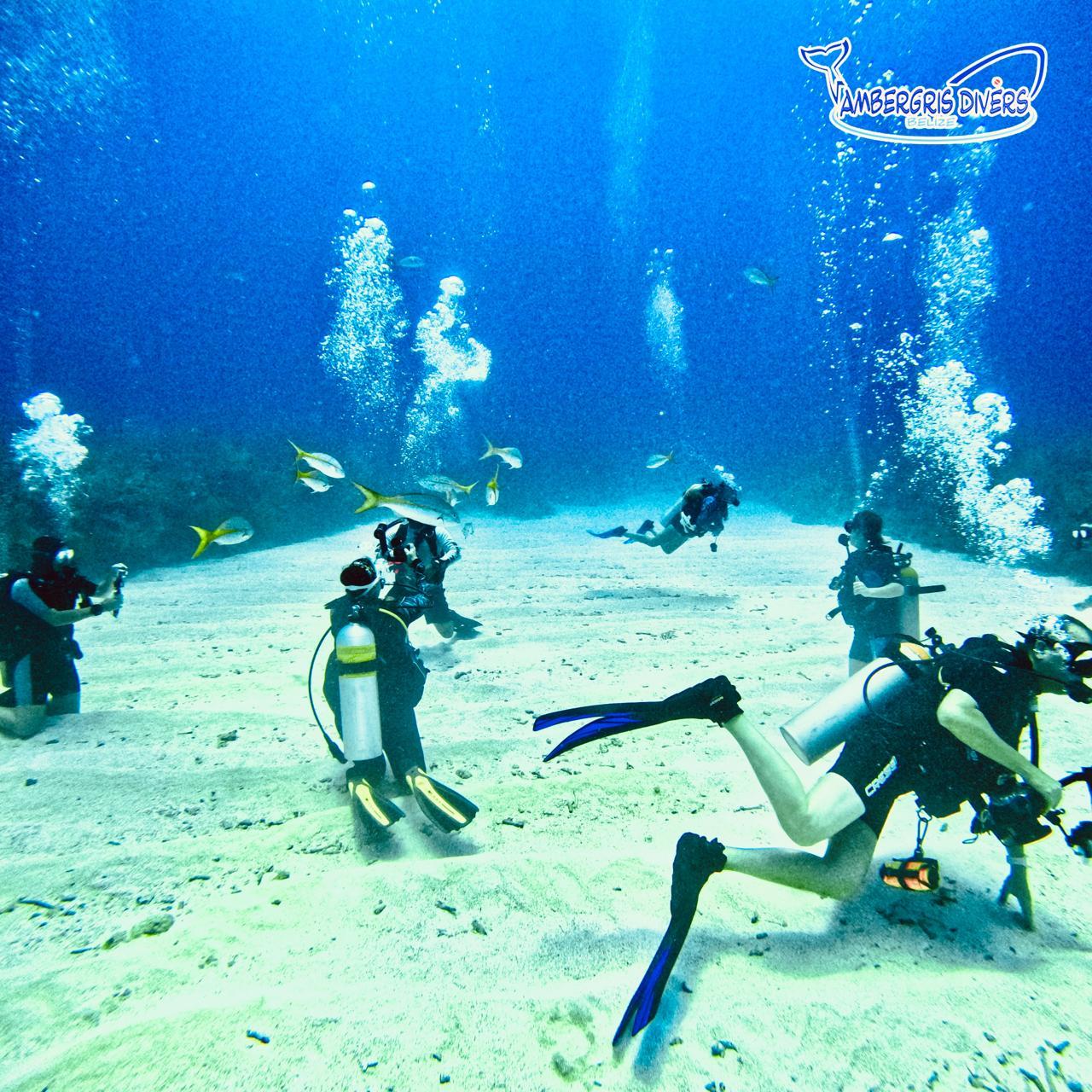Ambergris Caye Discover Scuba Diving