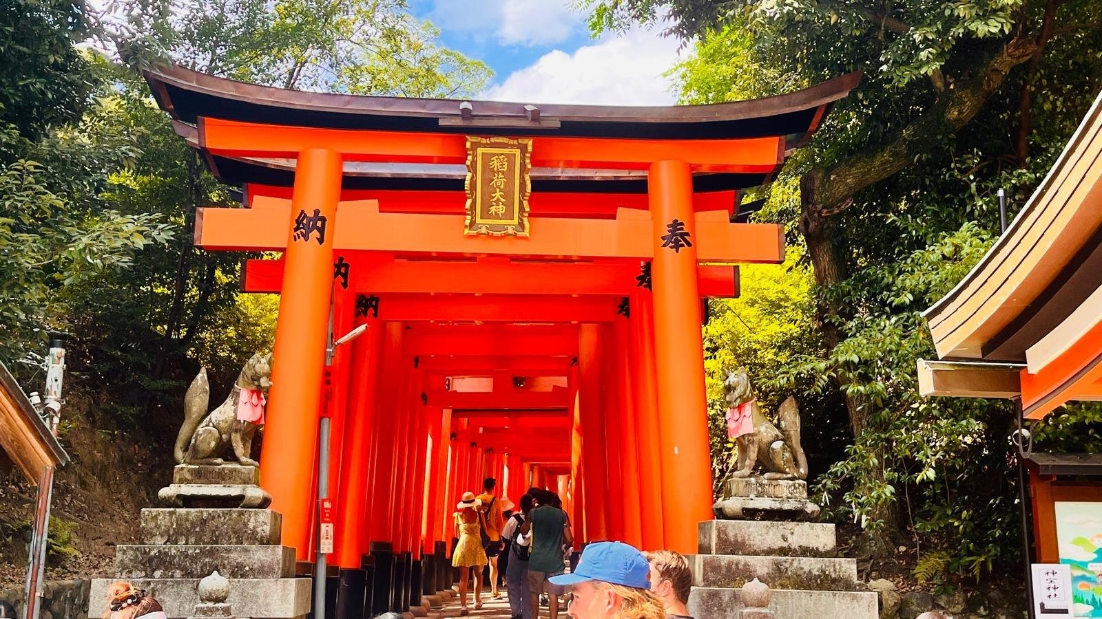 Kyoto & Nara Bespoke Private Day Tour from Osaka or Kyoto