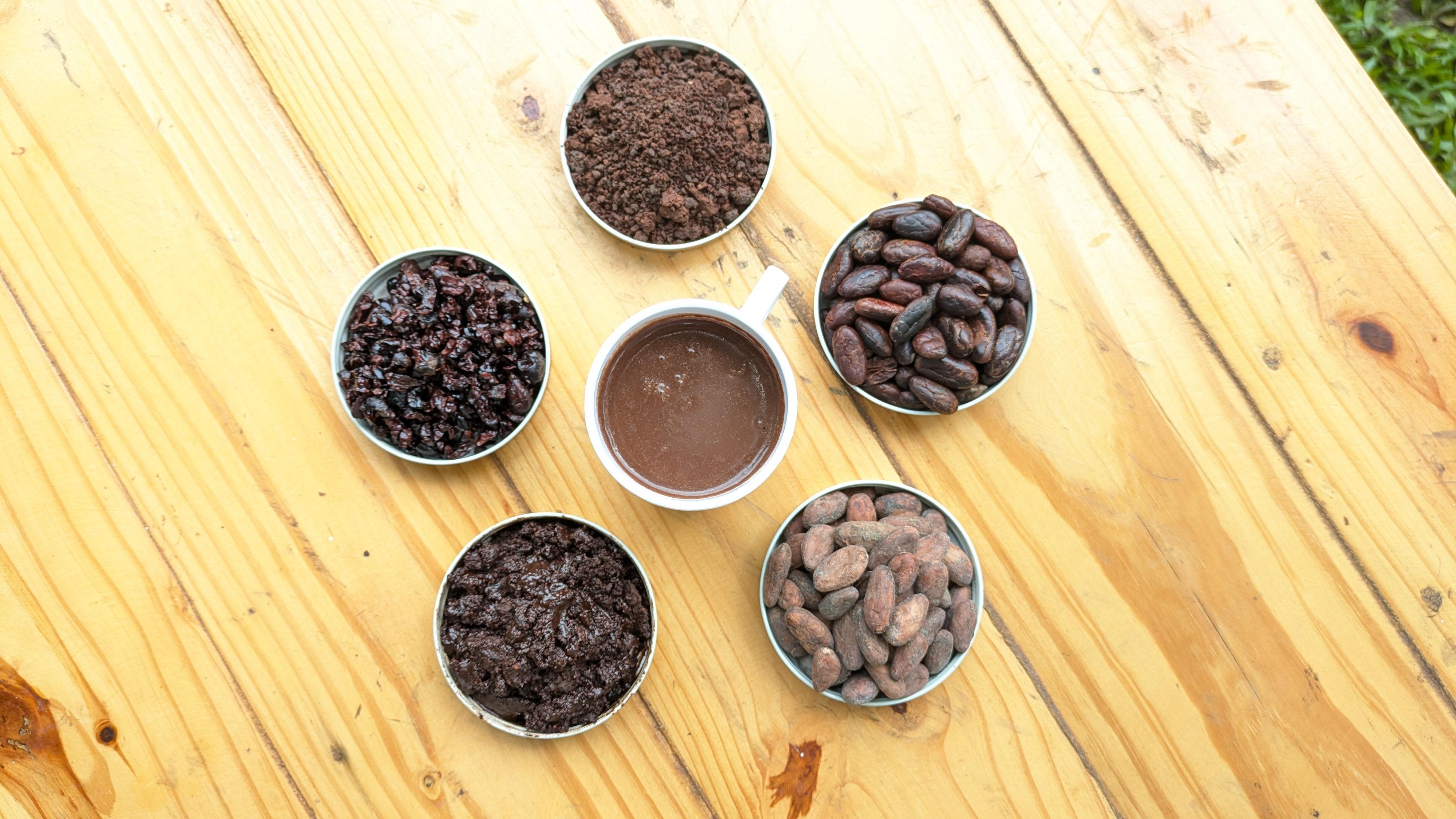 Casa Jocolate: Hands-On Cocoa Workshop in Minca