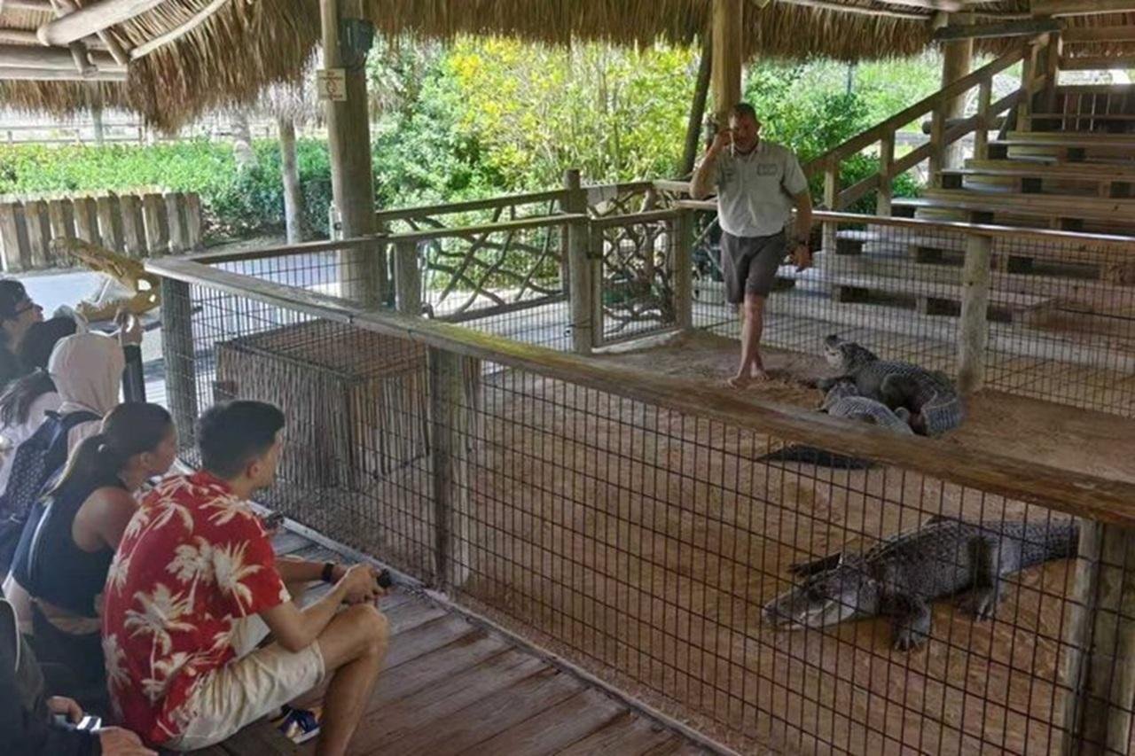Everglades Small-Group Expedition: Airboat & Gator Show from Miami