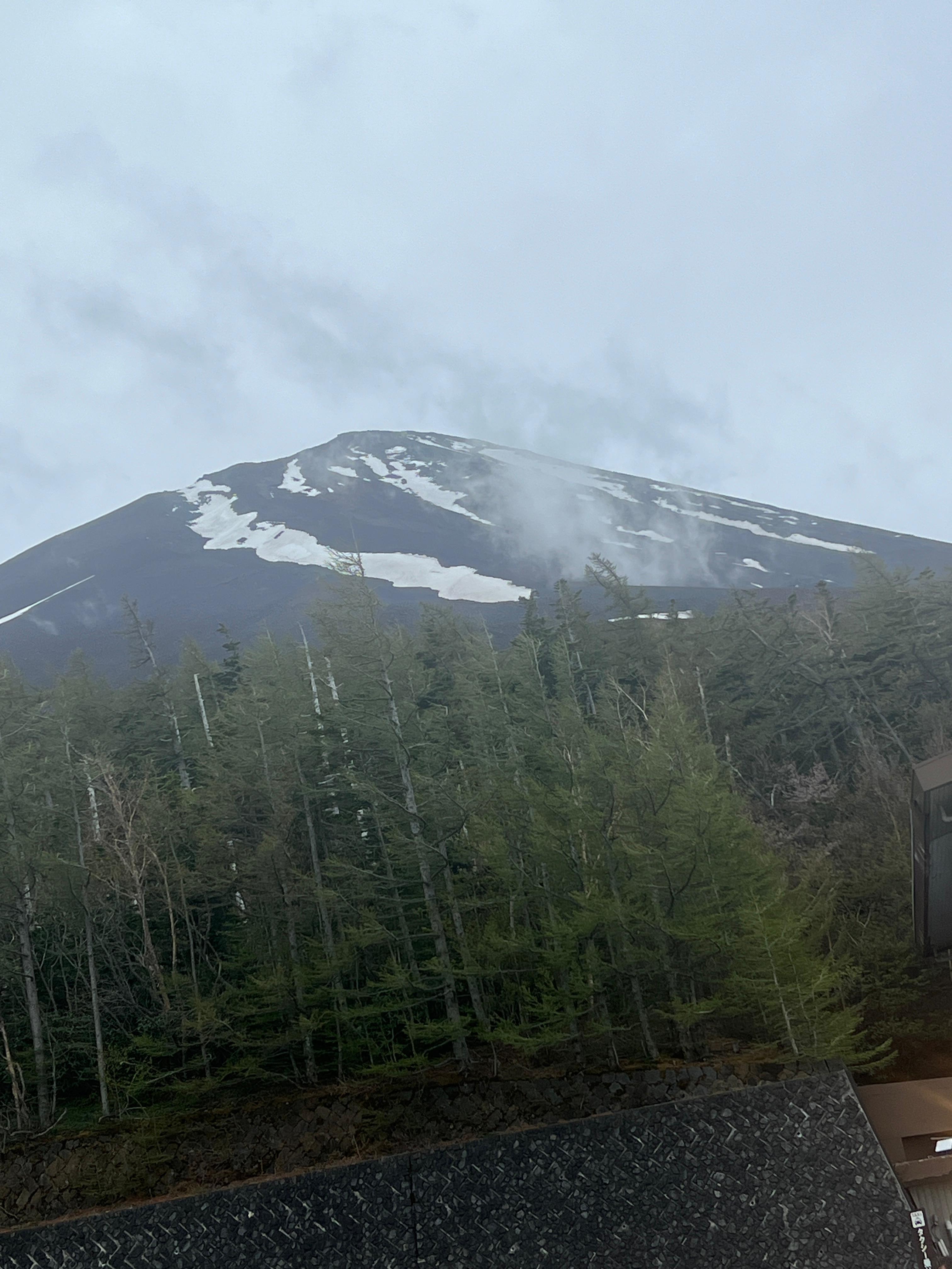 Tokyo to Mt. Fuji & Hakone: Private Full-Day Tour with English Driver