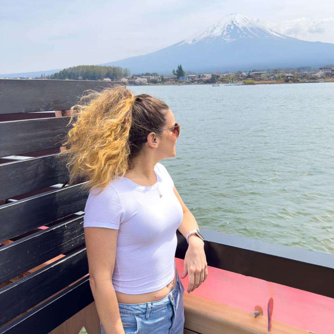 Private Mount Fuji & Hakone Day Tour from Tokyo