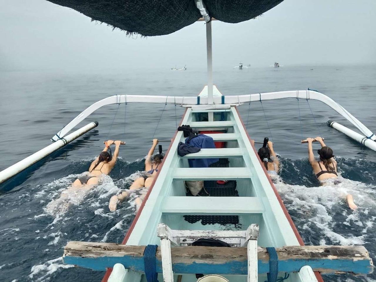 Lovina Dolphin Encounter & Snorkeling Adventure
