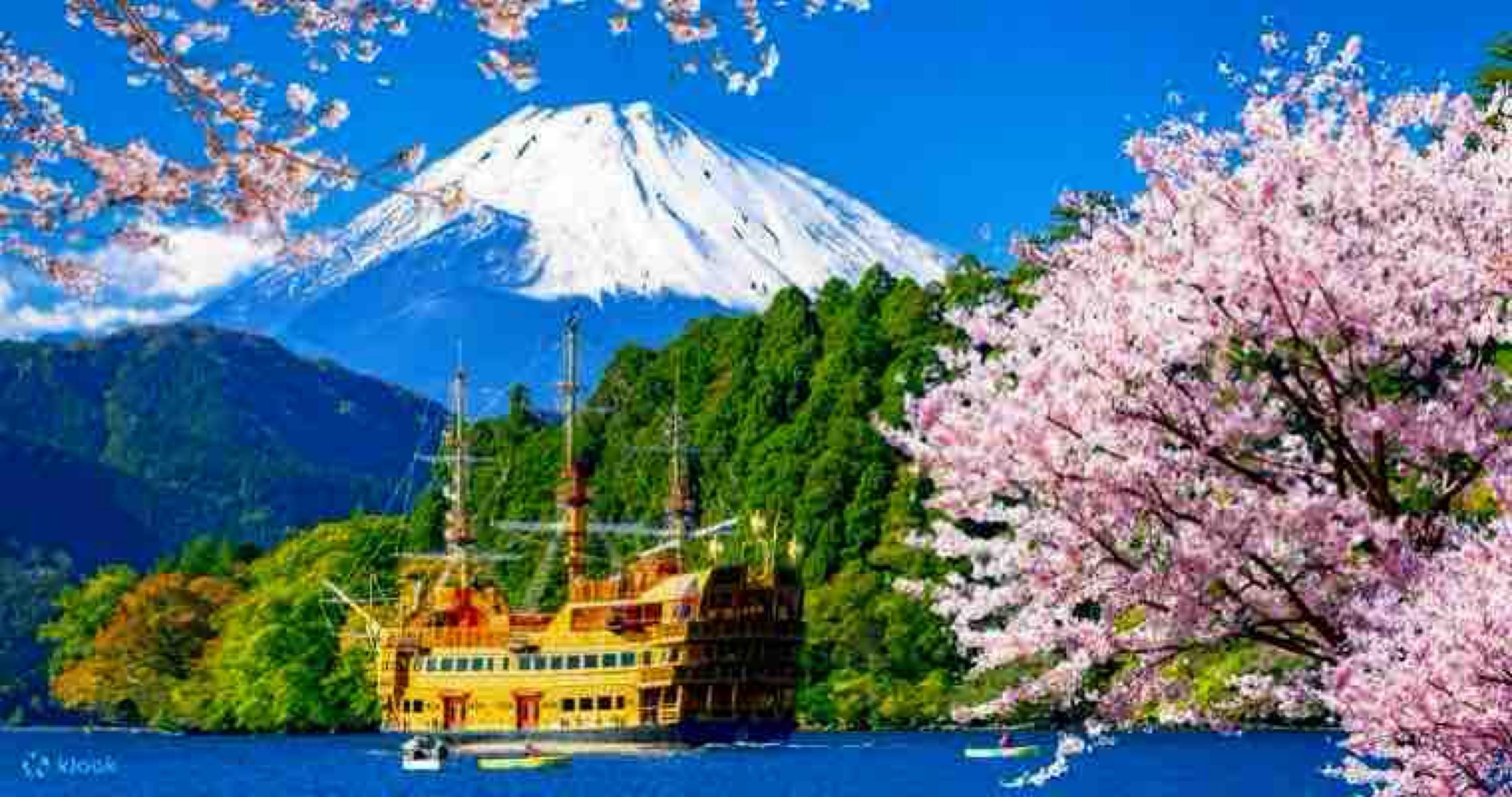 Mount Fuji Private Day Tour from Tokyo with English-Speaking Driver