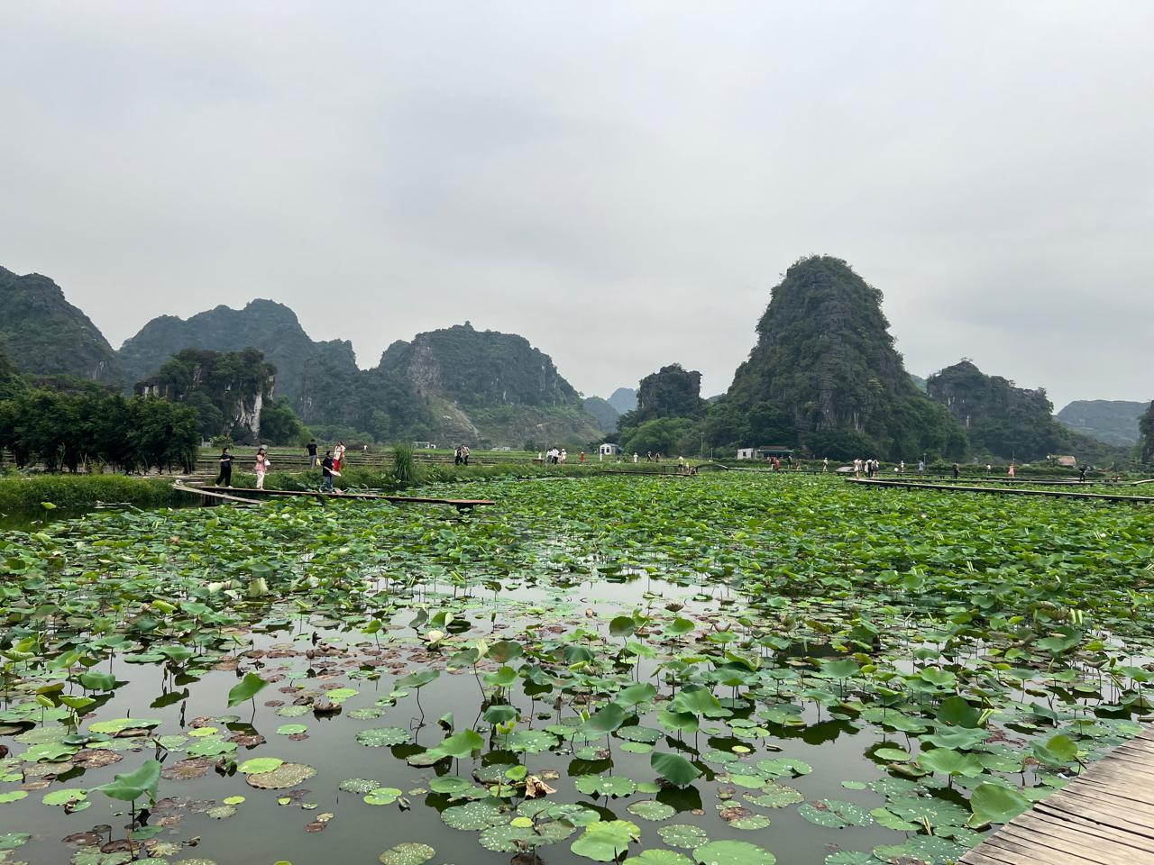 Hanoi to Ninh Binh: Hoa Lu, Trang An & Mua Cave Day Tour