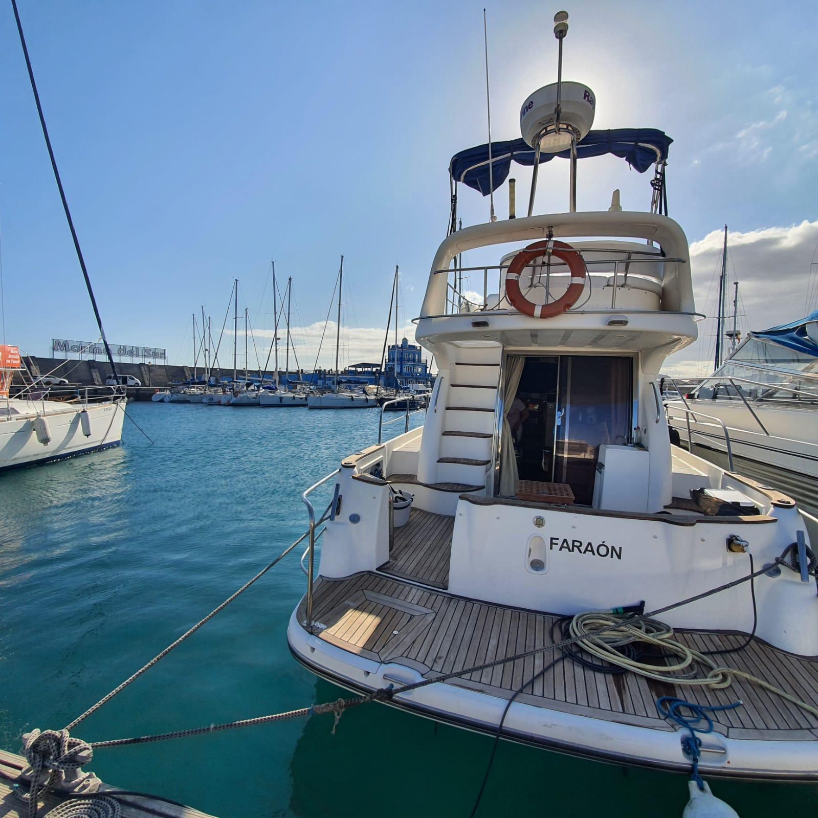 Luxury Whale Watching Safari in South Tenerife