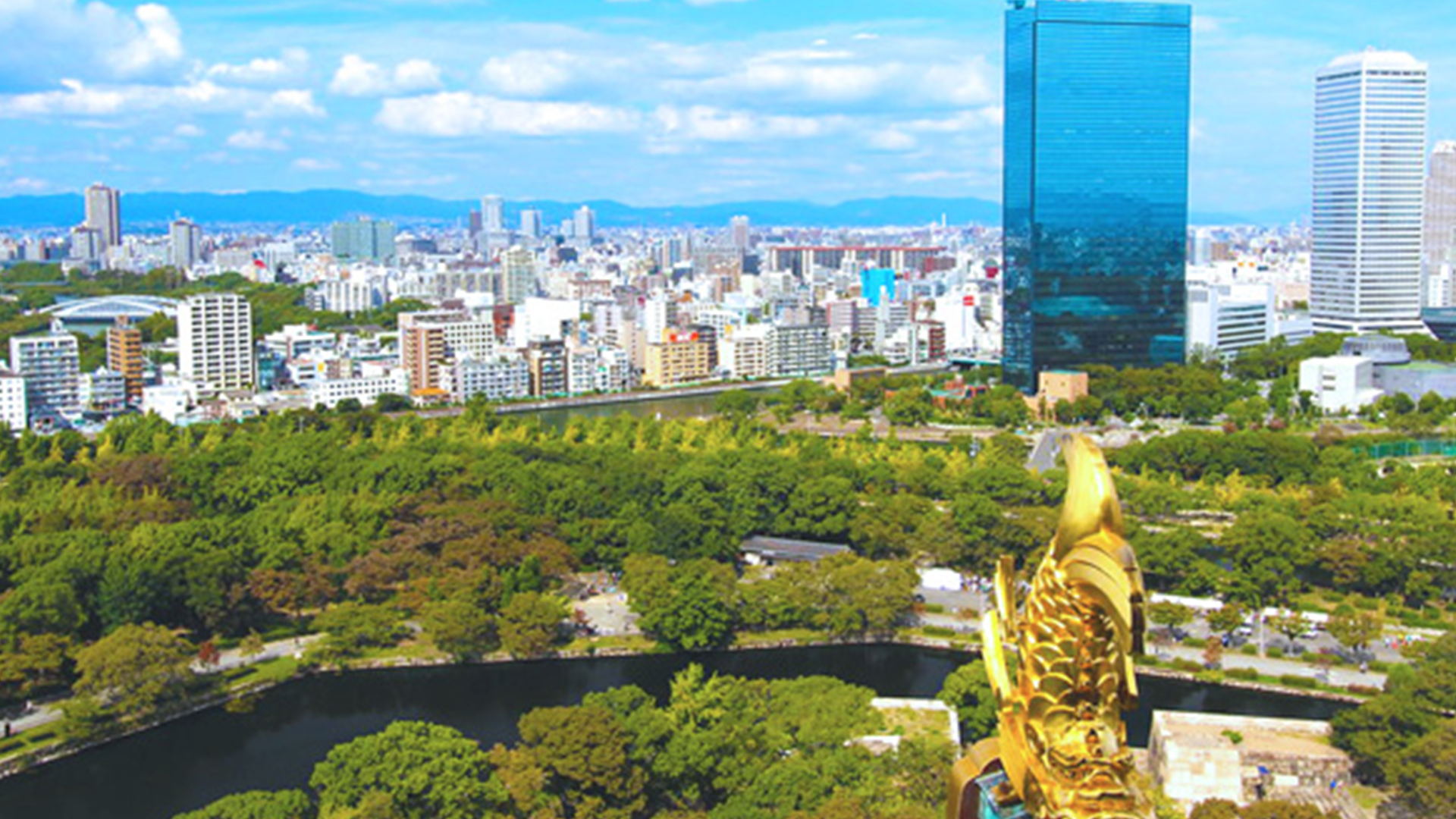 Osaka Castle Defensive Tour & Tower Admission