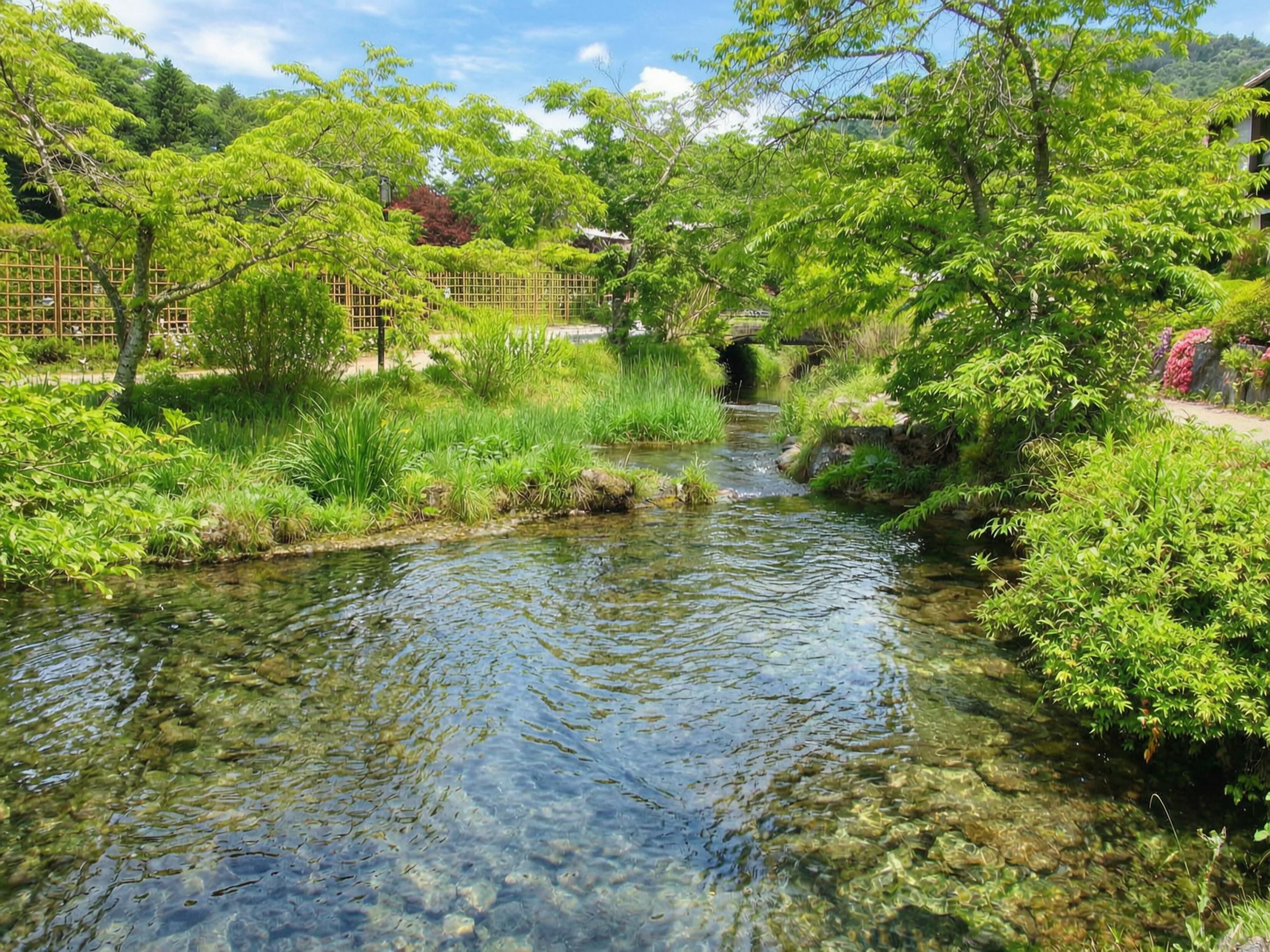 Tokyo Day Trip: Mt. Fuji, Chureito Pagoda & Oshino Hakkai