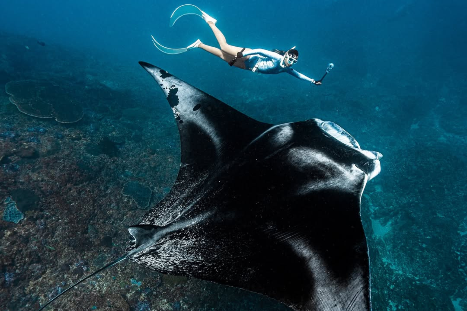Nusa Penida Snorkeling Adventure with Manta Rays