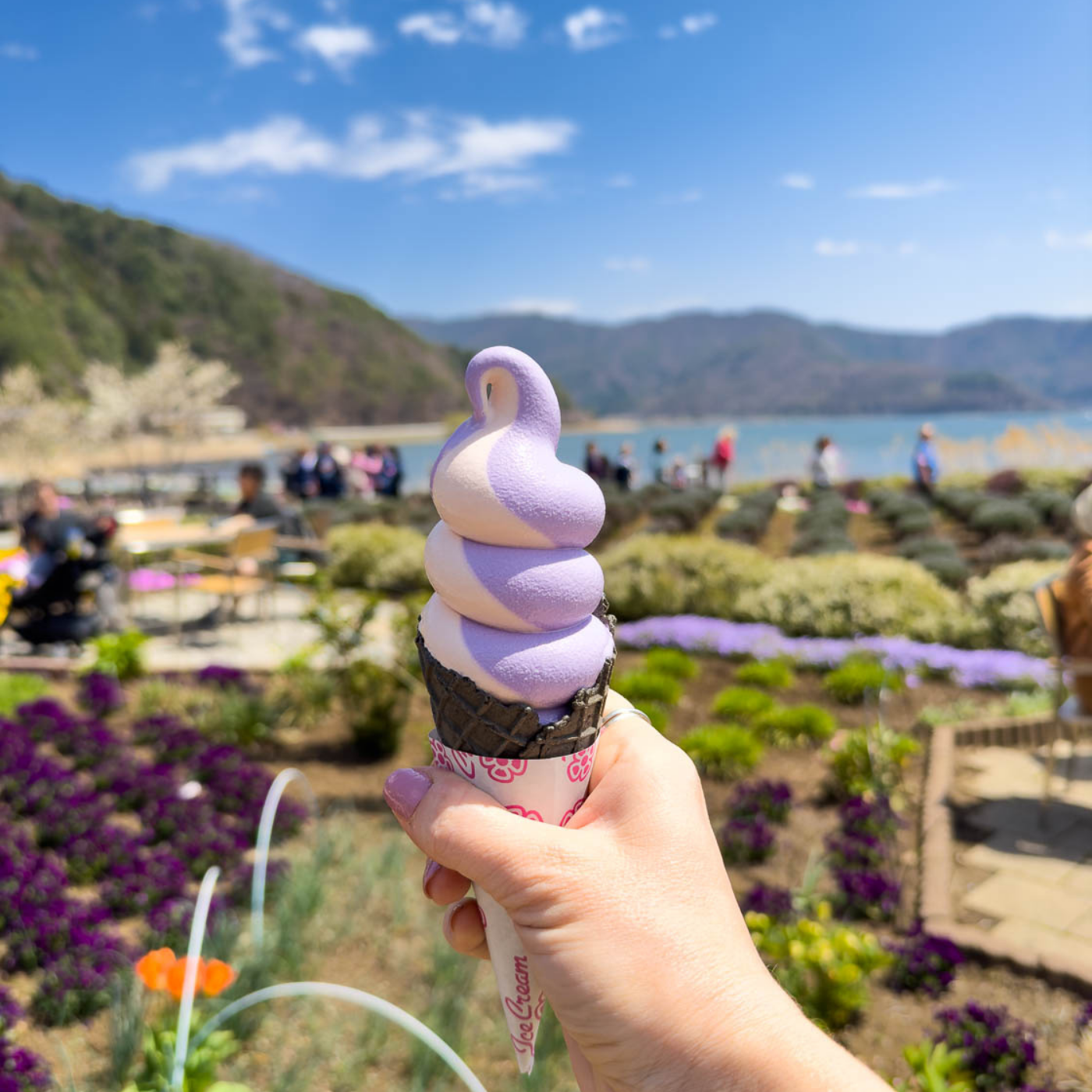 Private Mount Fuji & Hakone Day Tour from Tokyo