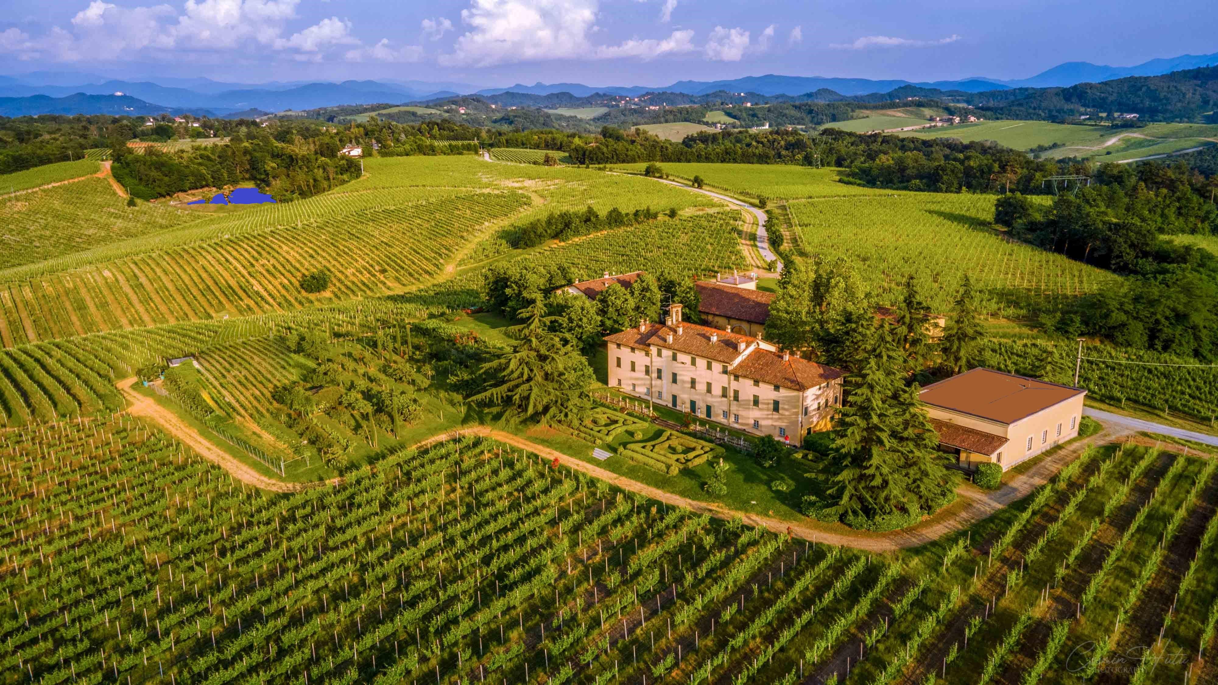 Monferrato Estate Experience: Vineyards, Lake & Wine Tasting