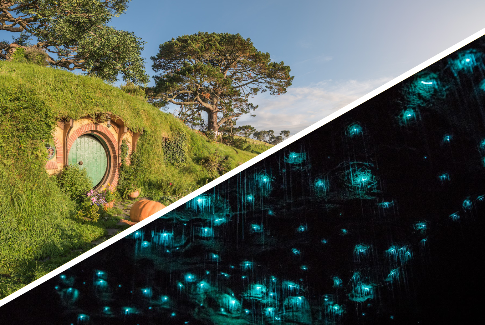 Auckland: Hobbiton & Waitomo Caves Small-Group Day Tour with Lunch