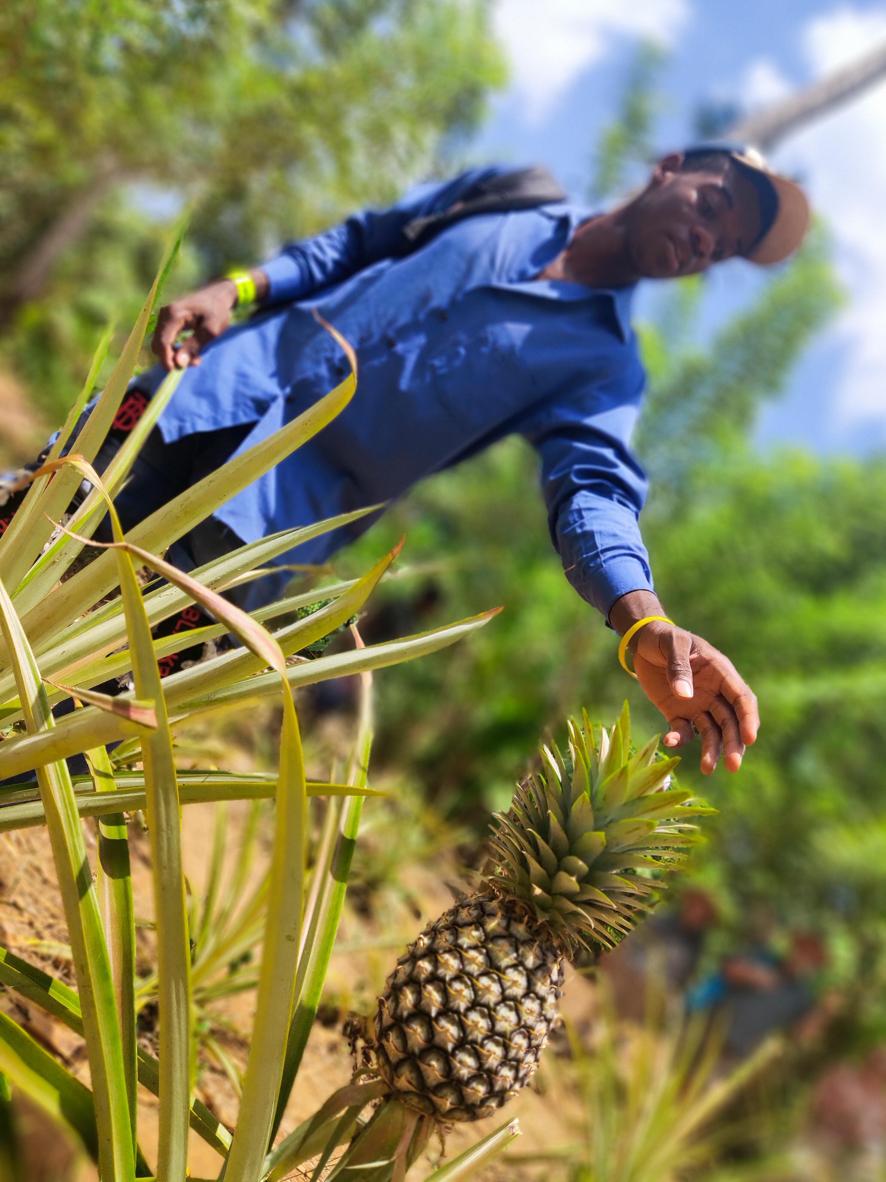 Zanzibar Full-Day Discovery: Stone Town, Spice Farm & Prison Island
