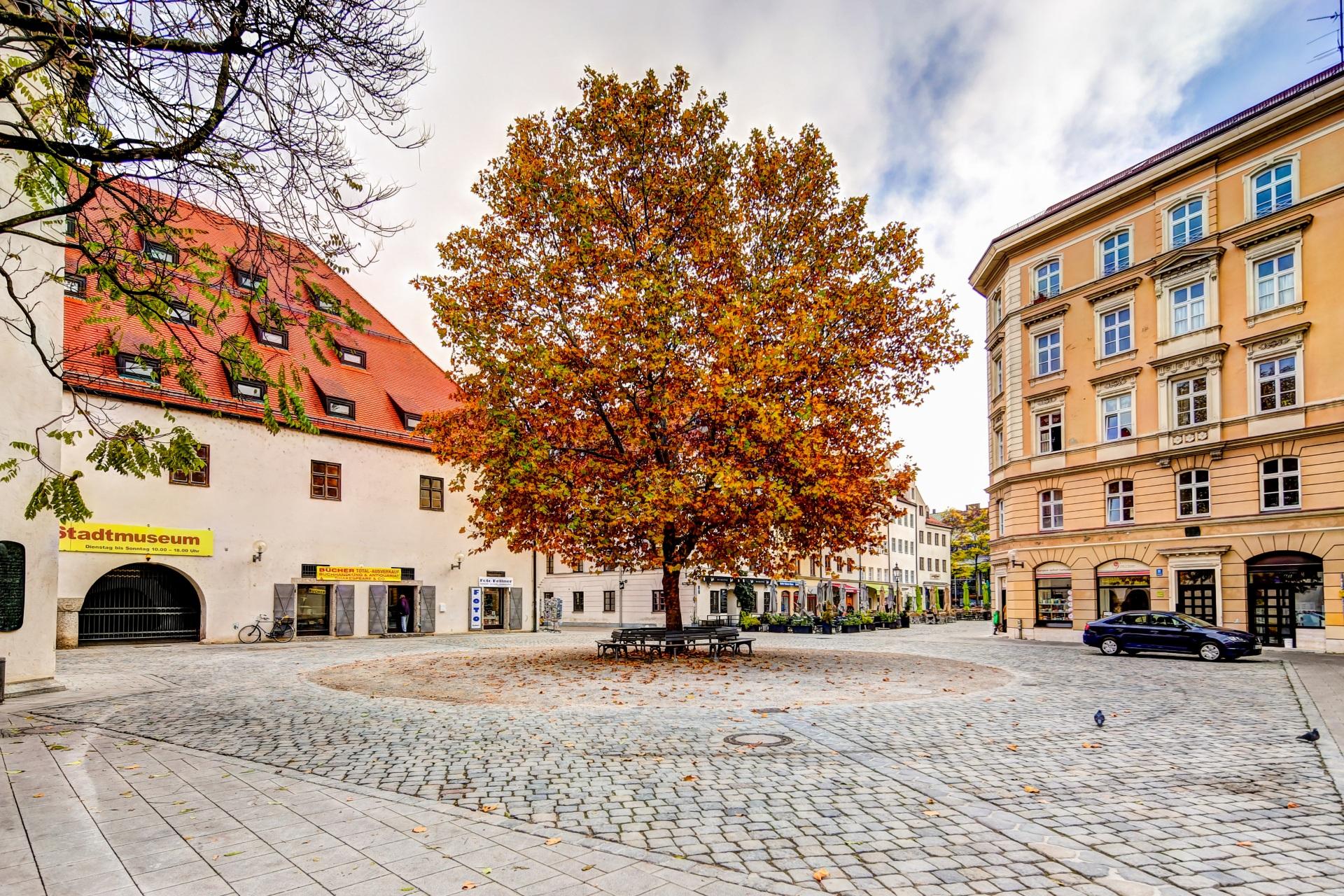 Munich Jewish Quarter Walking Tour & Jewish Museum Tickets