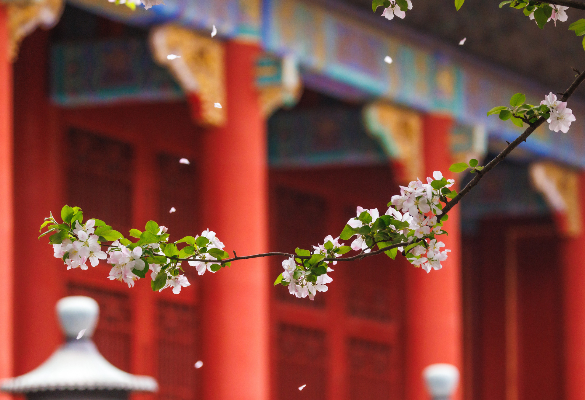 Beijing Imperial Highlights: Tiananmen & Forbidden City Tickets + Tour Options