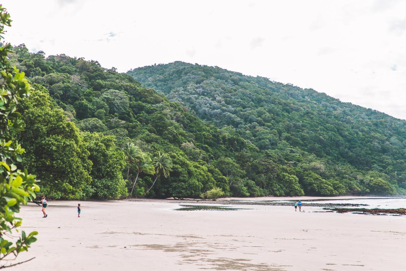 Cairns: Daintree Rainforest & Cape Tribulation Premium Small-Group Day Tour