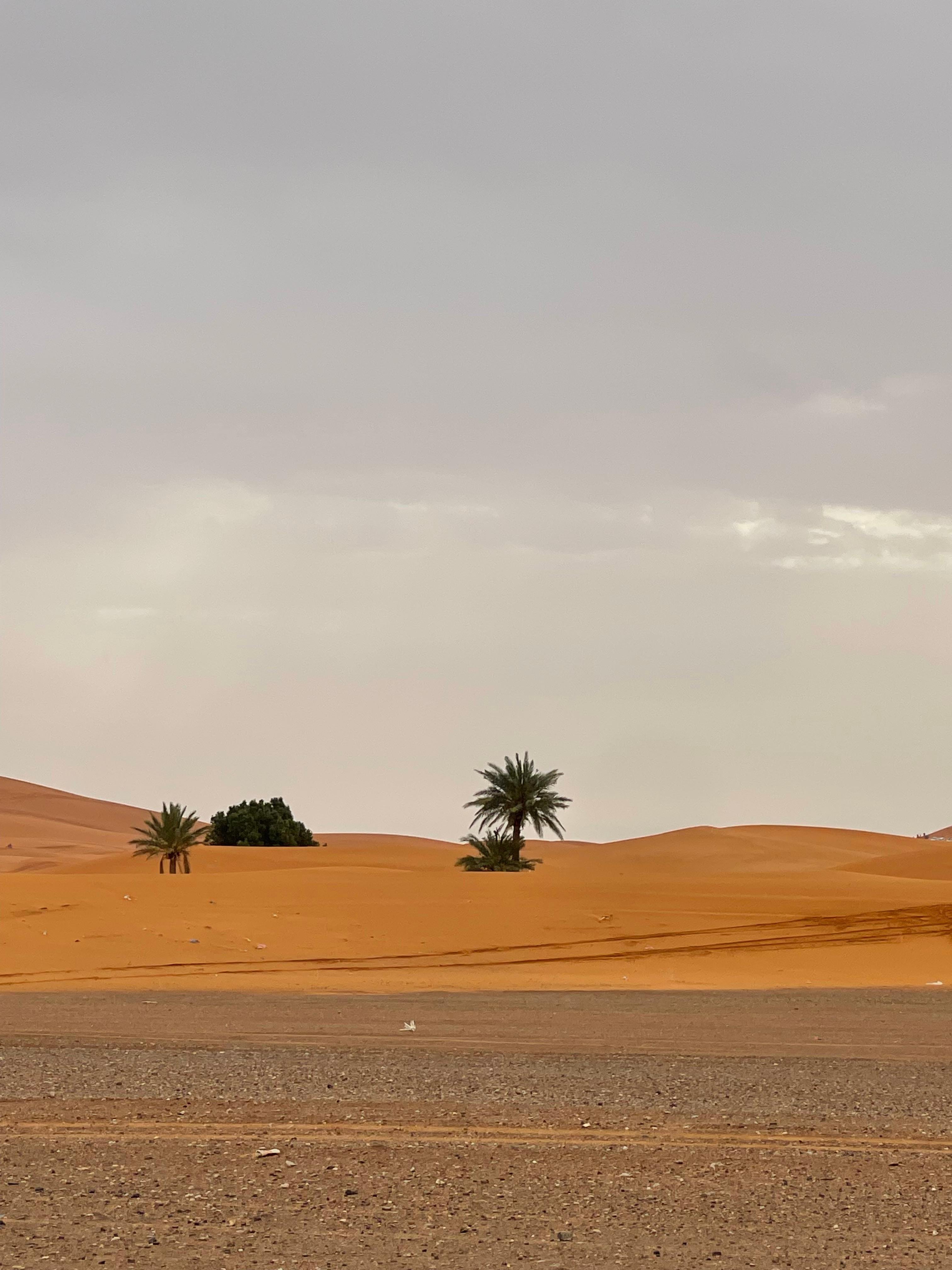 3-Day Sahara Desert Luxury Expedition from Marrakech