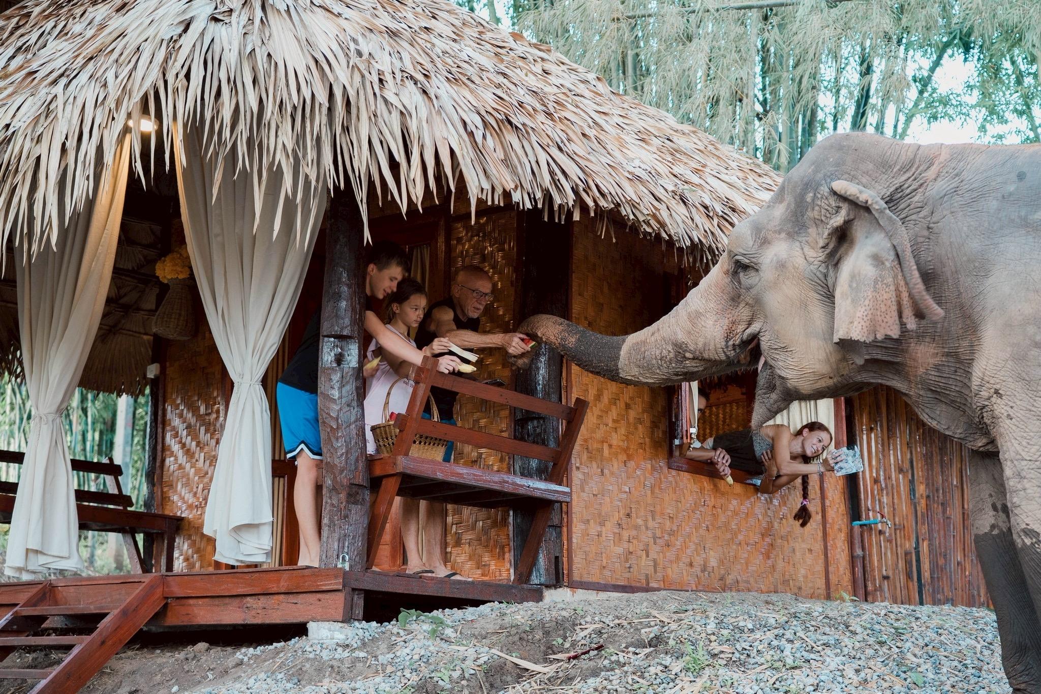 Chiang Mai 2-Day: Good Morning Elephant & Overnight Homestay