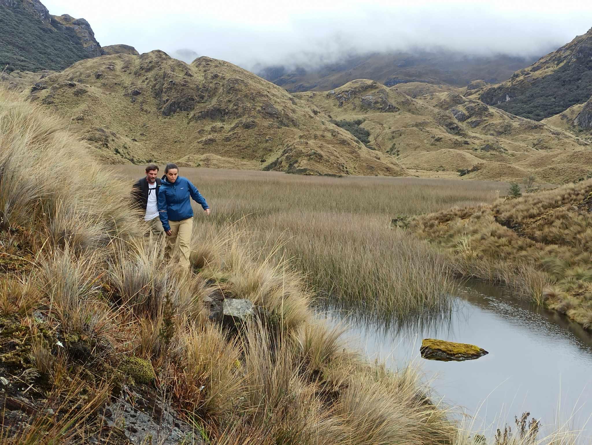 Cajas National Park Guided Half-Day Hike from Cuenca